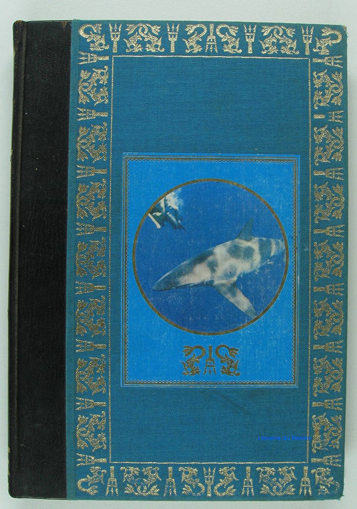 Requins (les) 9782082004145