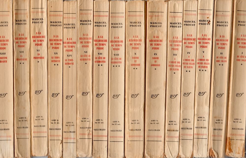 a la recherche du temps perdu, tome 8, le cote de guermantes