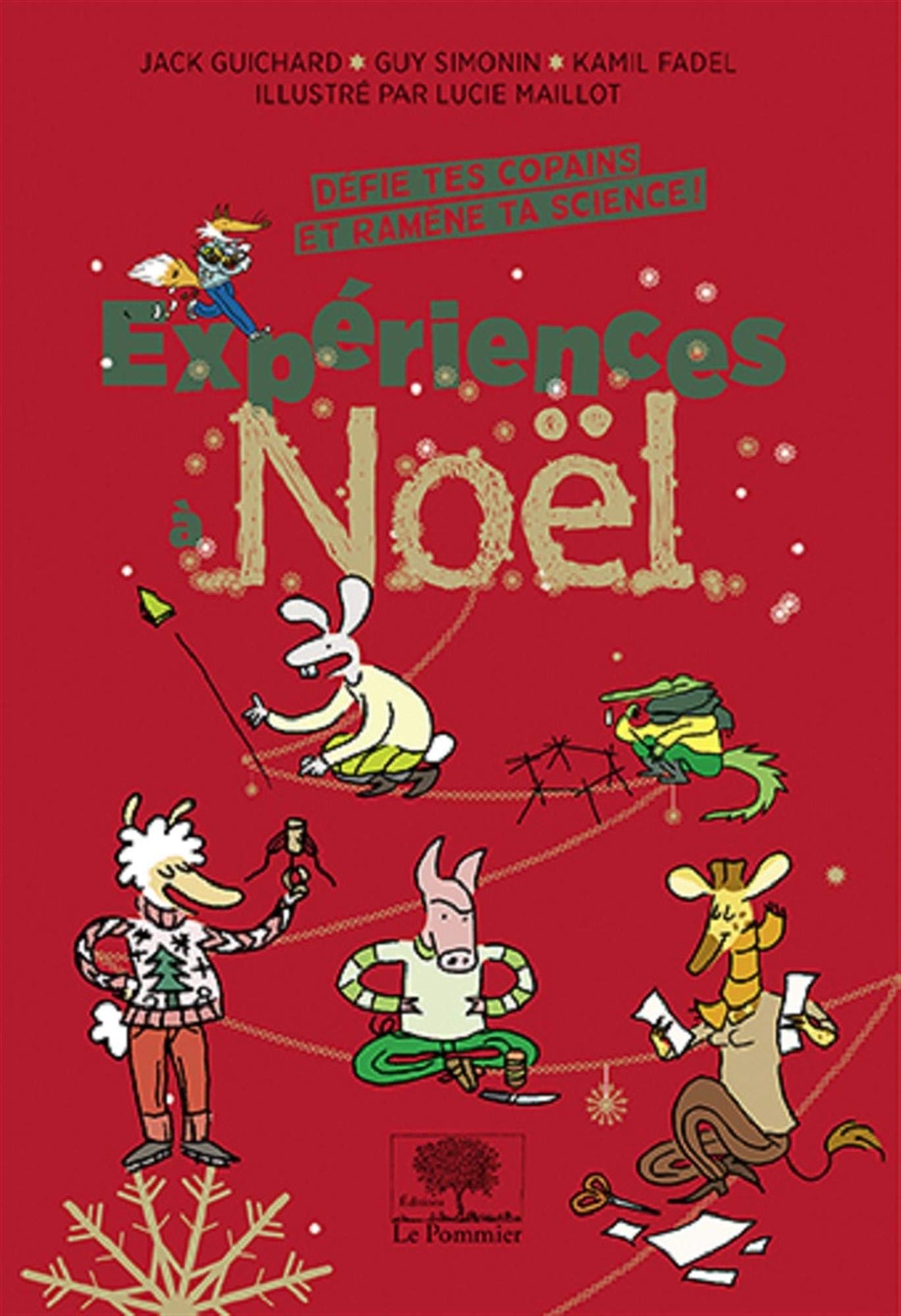 Expériences à Noël: Défie tes copains et ramène ta science ! 9782746508613