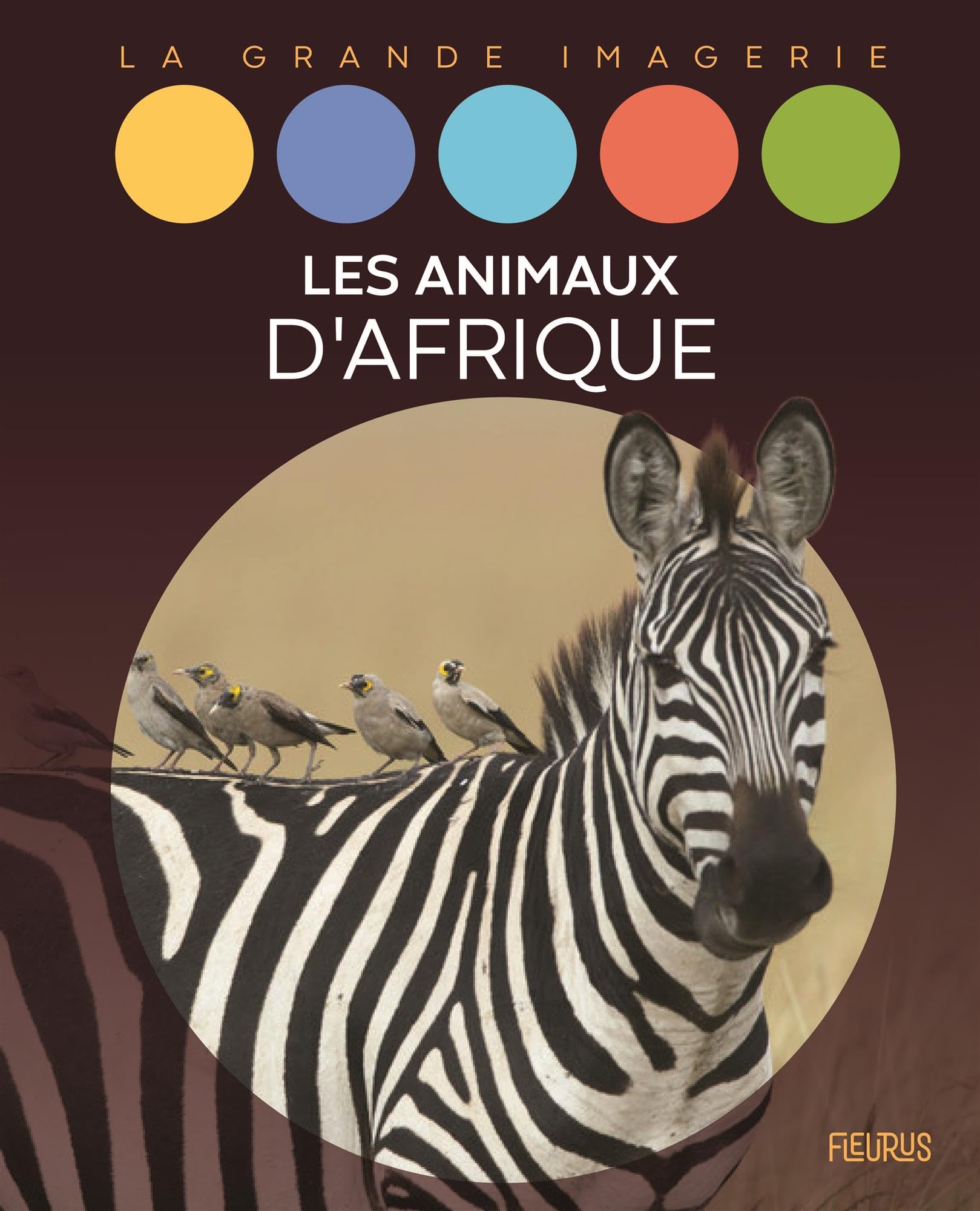 Les animaux d'Afrique 9782215185376