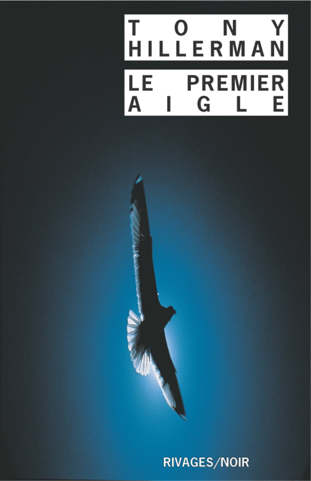 Le Premier aigle 9782743608385