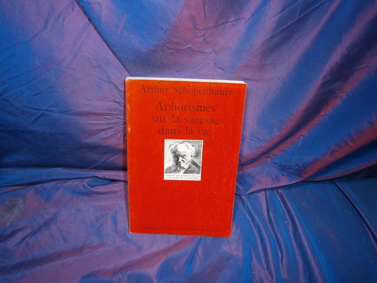 Aphorismes sur la sagesse ds la vie 9782130380047