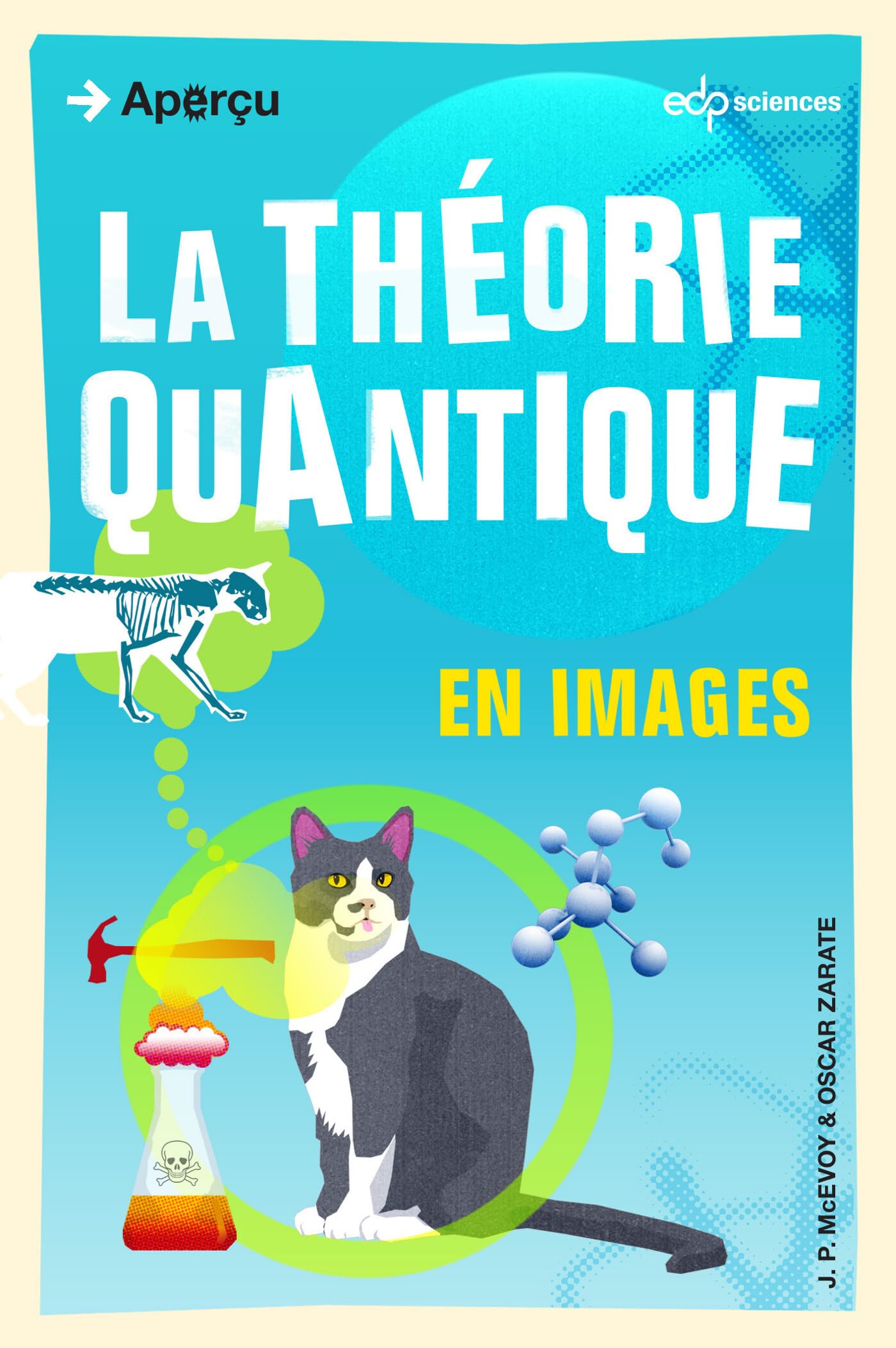 La théorie quantique en images 9782759812295