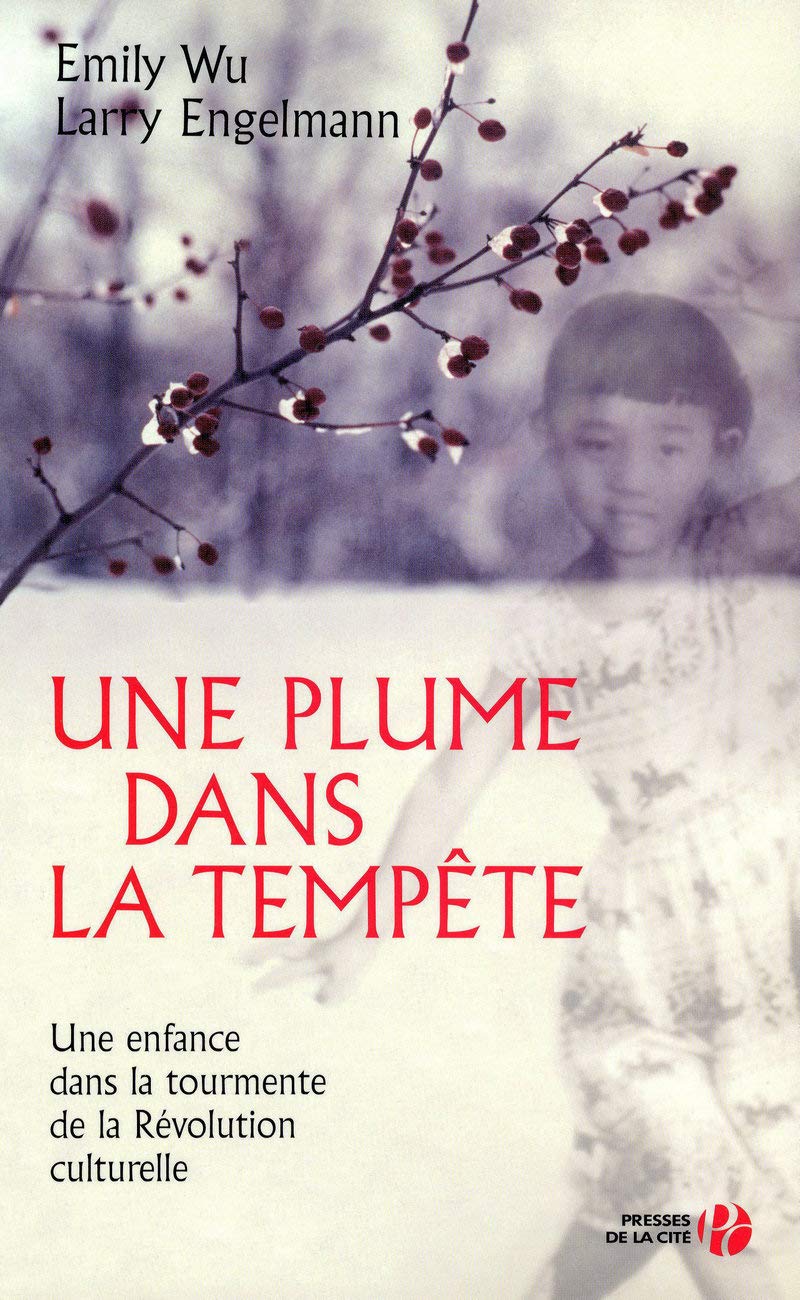 Une plume dans la tempête 9782258074323