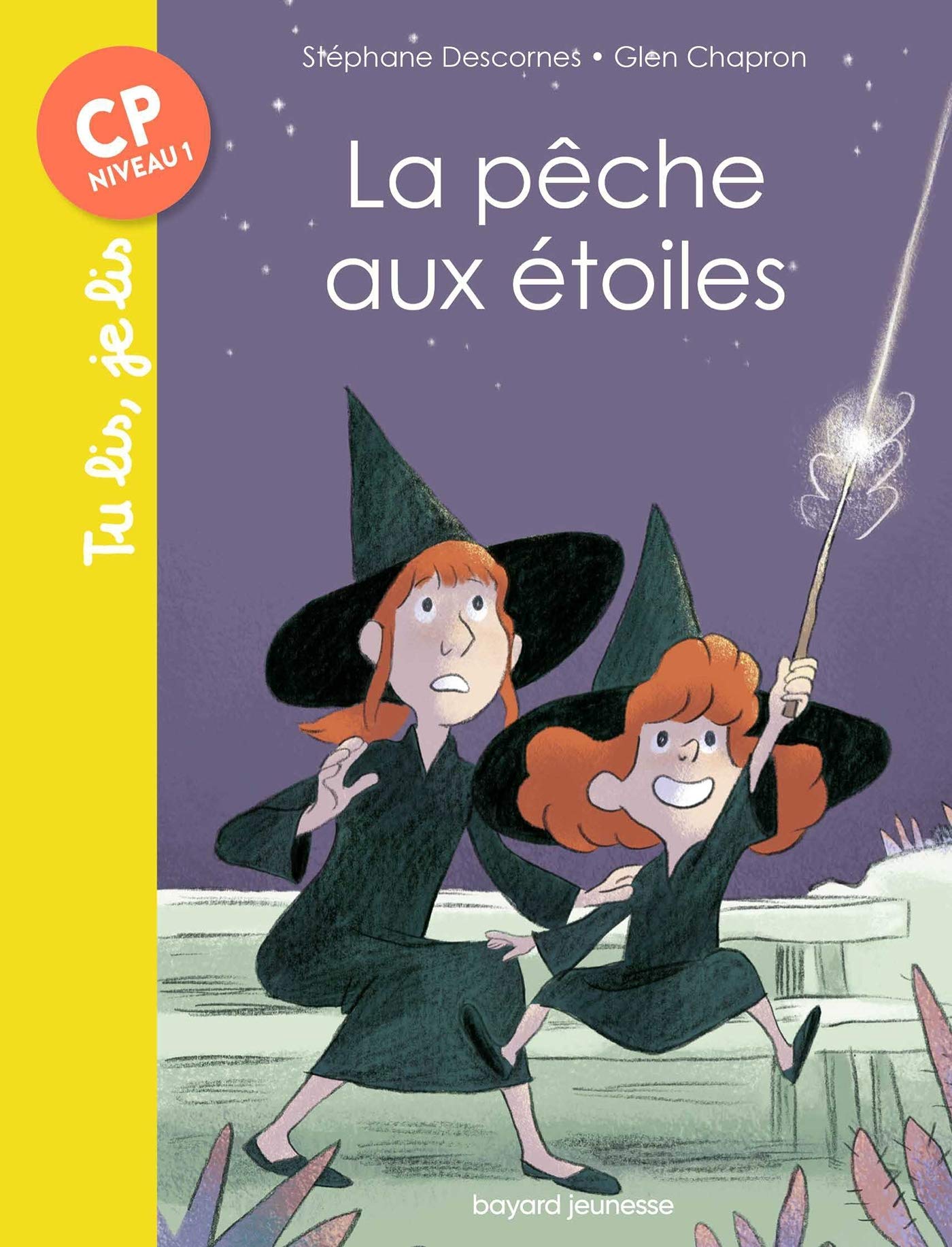 La pêche aux étoiles 9782747051347