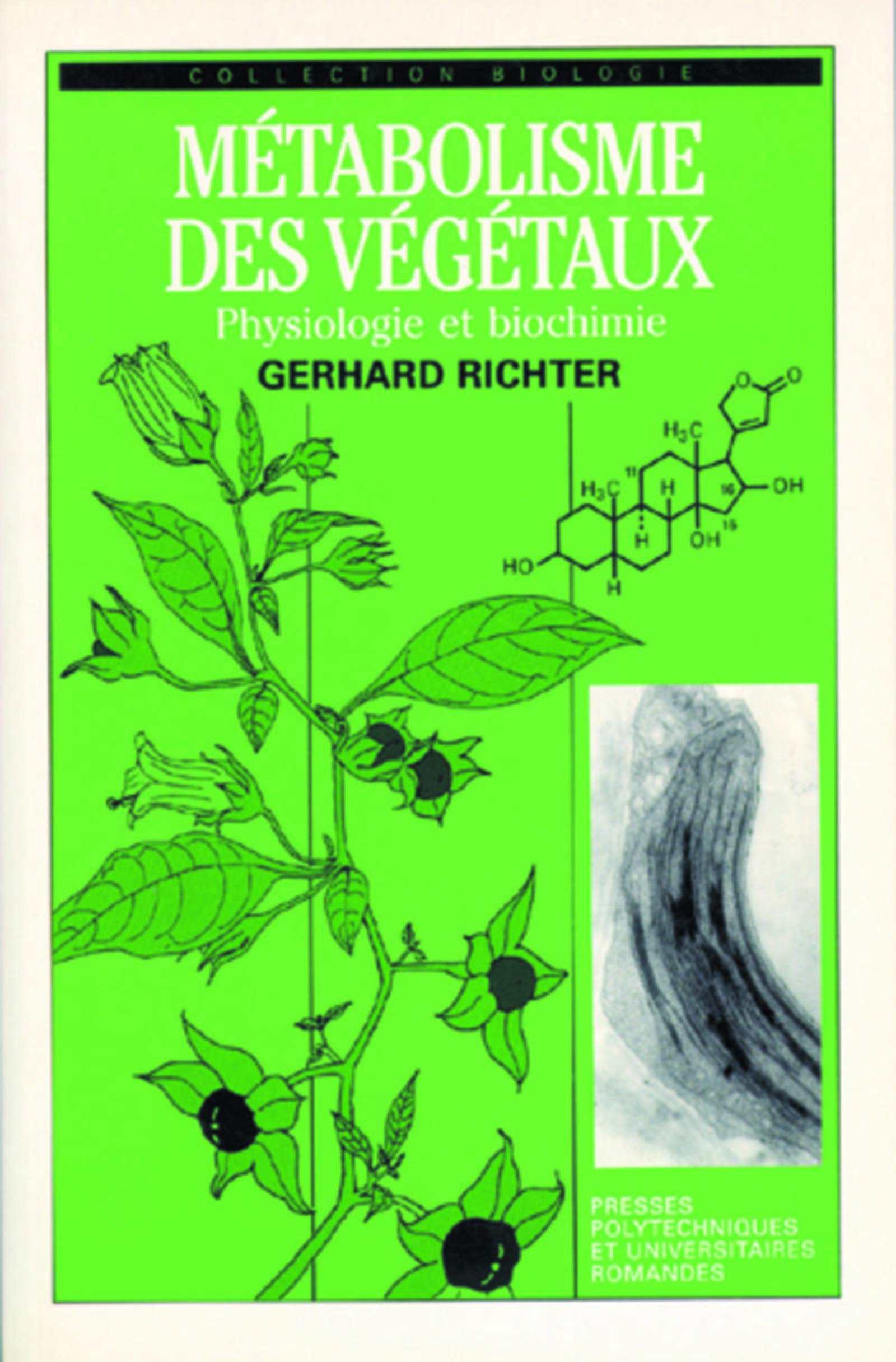 Metabolisme Vegeteaux 9782880742317