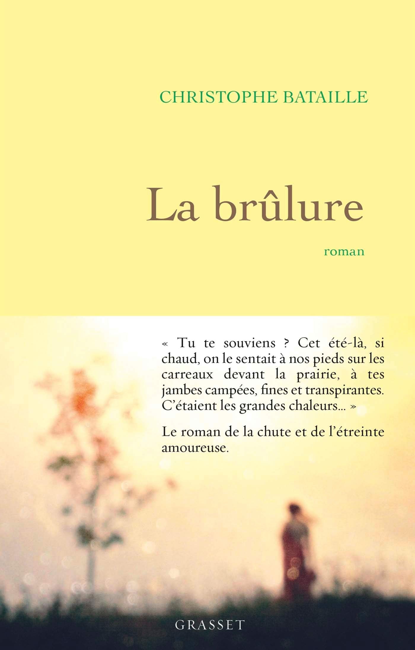 La brûlure: roman 9782246820215