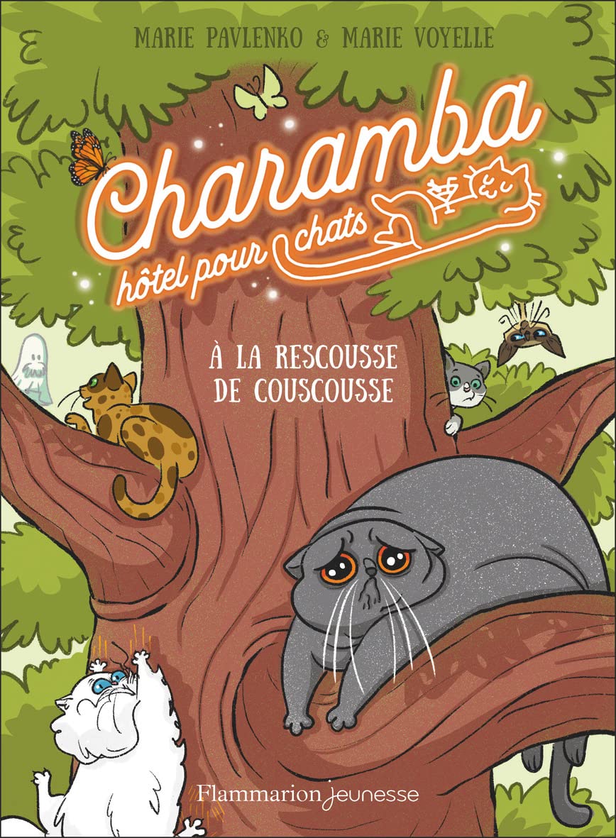 Charamba, hôtel pour chats - À la rescousse de Couscousse 9782080414960