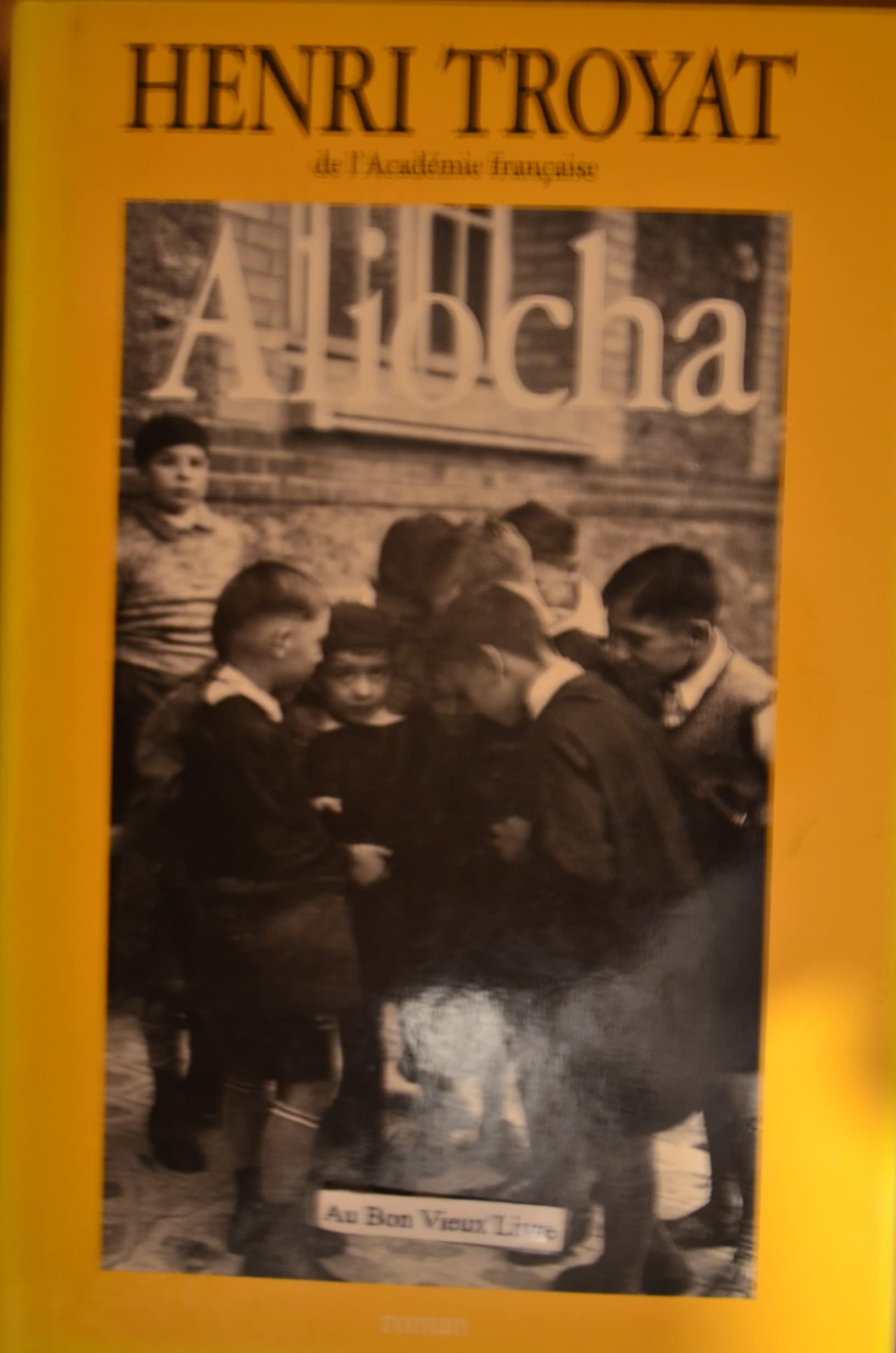 Aliocha 9782286049355