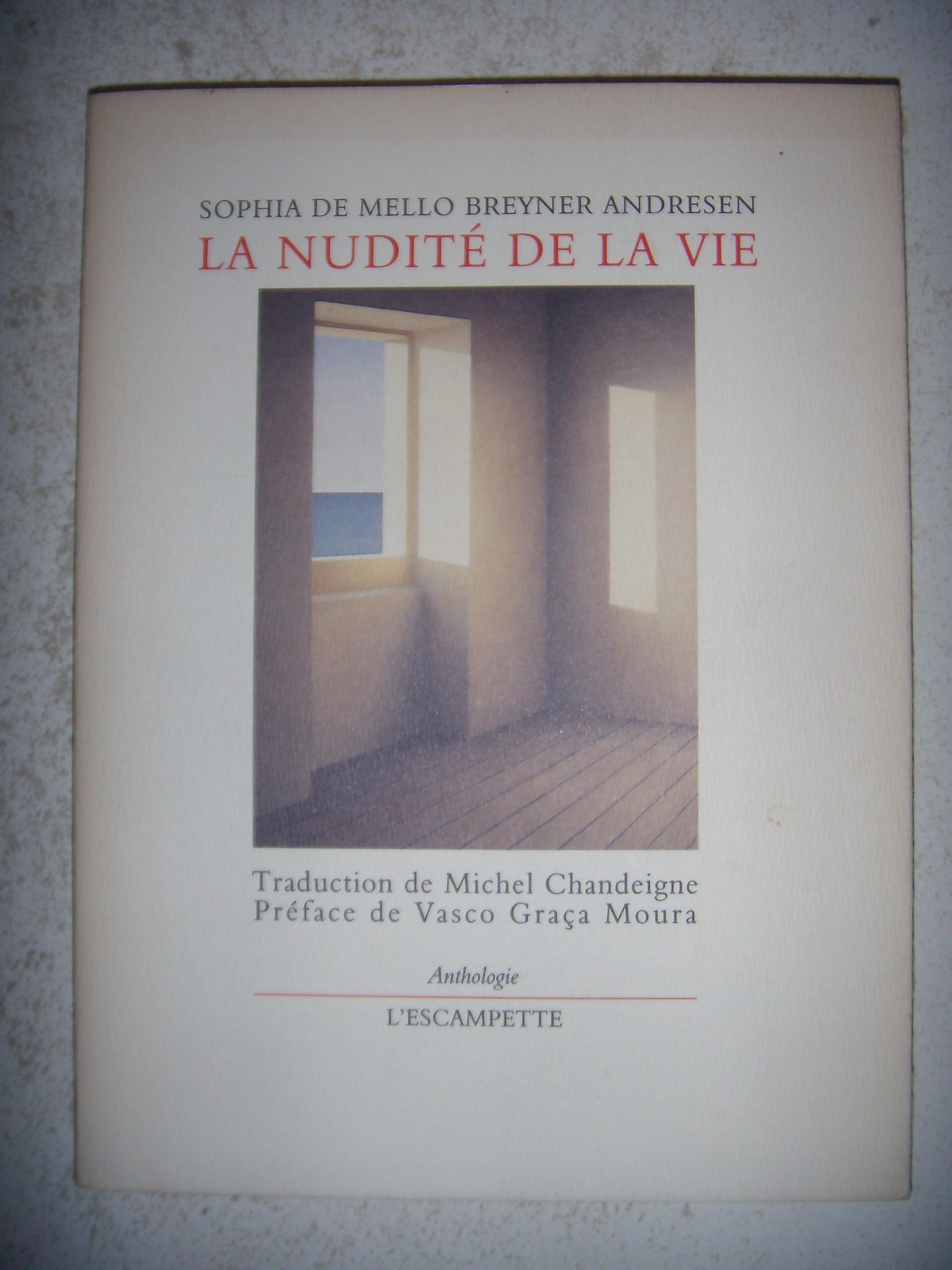La Nudite De La Vie 9782909428451