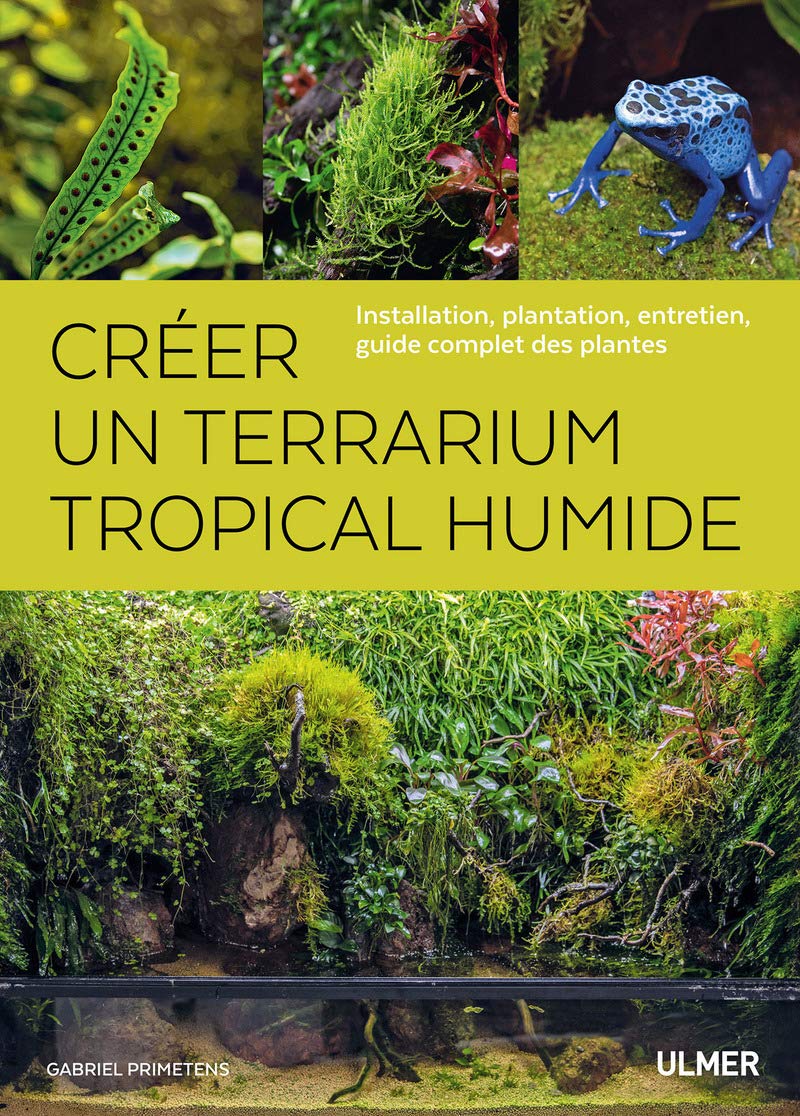 Créer un terrarium tropical humide 9782379220739
