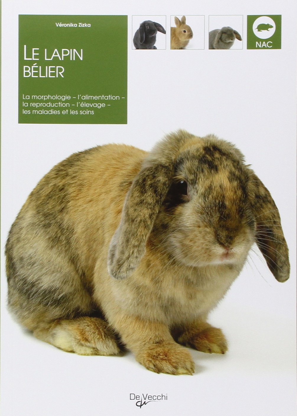 La lapin bélier 9782732884288