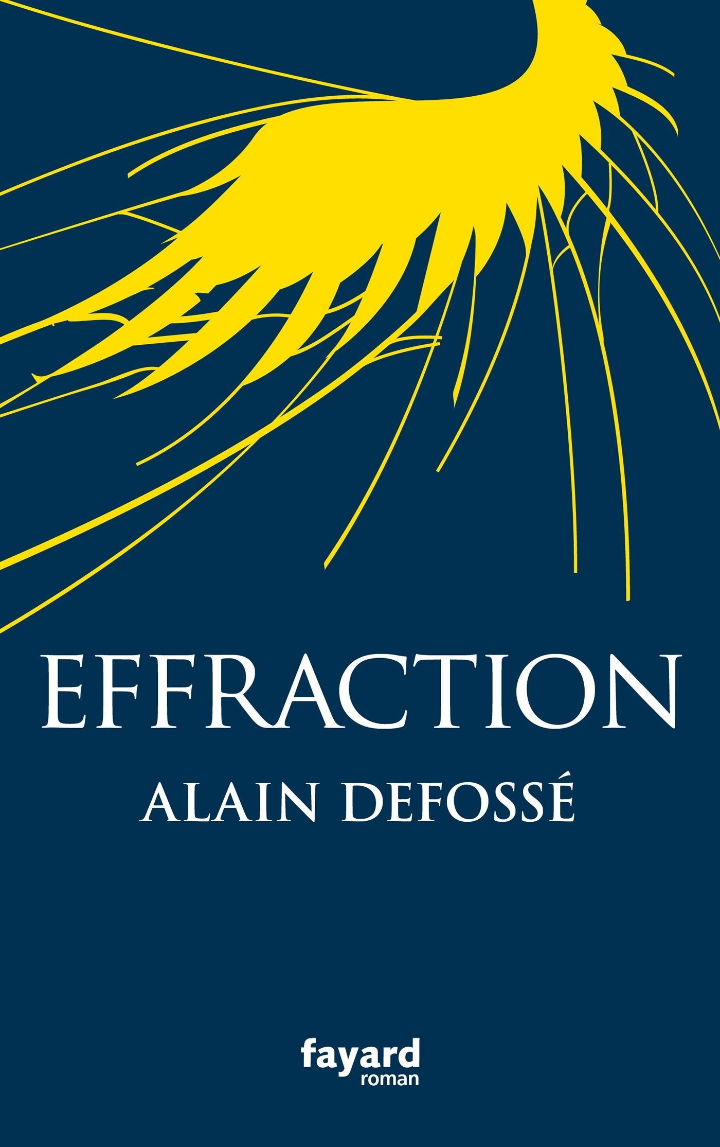 Effraction 9782213687025