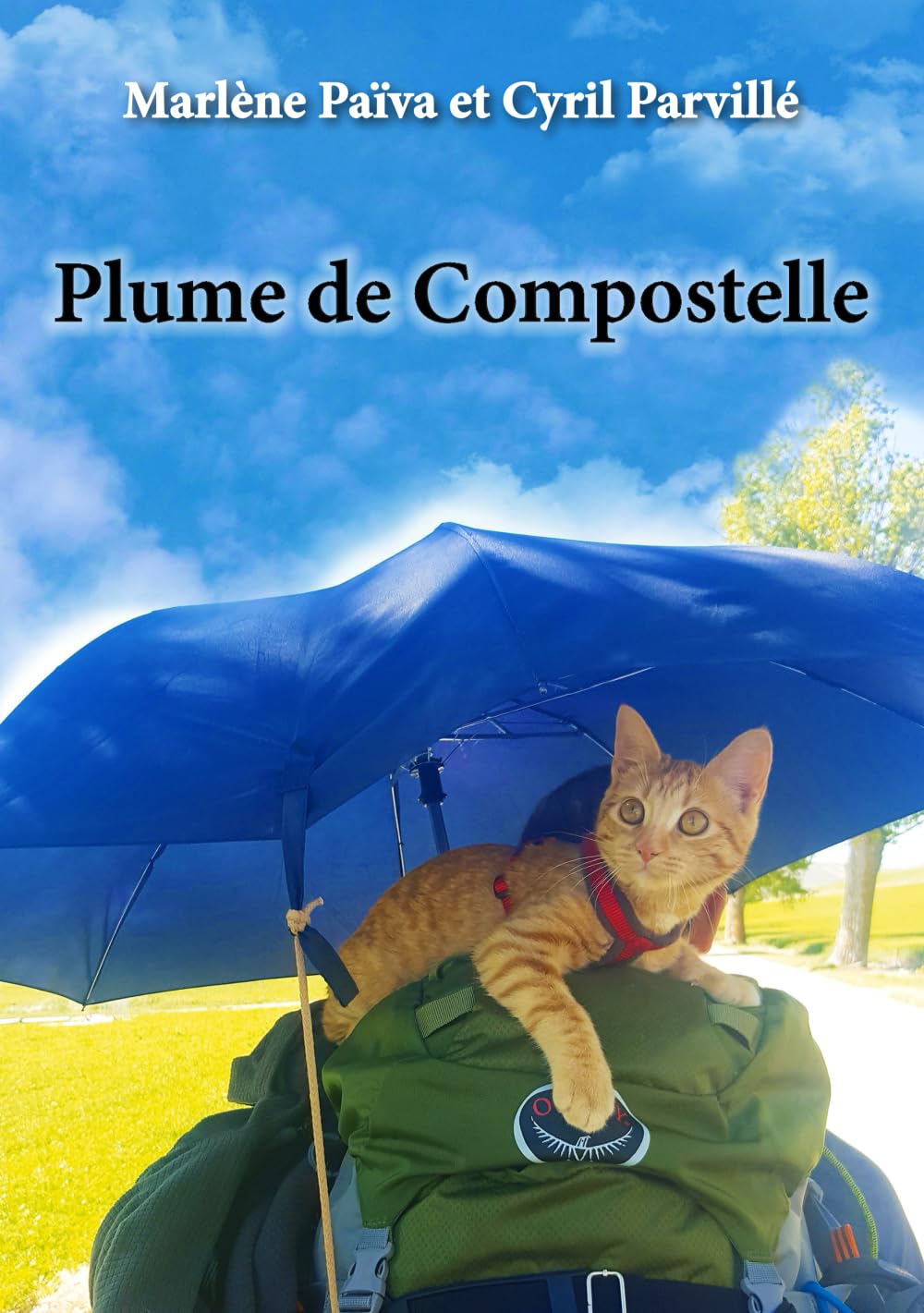 Plume de Compostelle 9791069935204