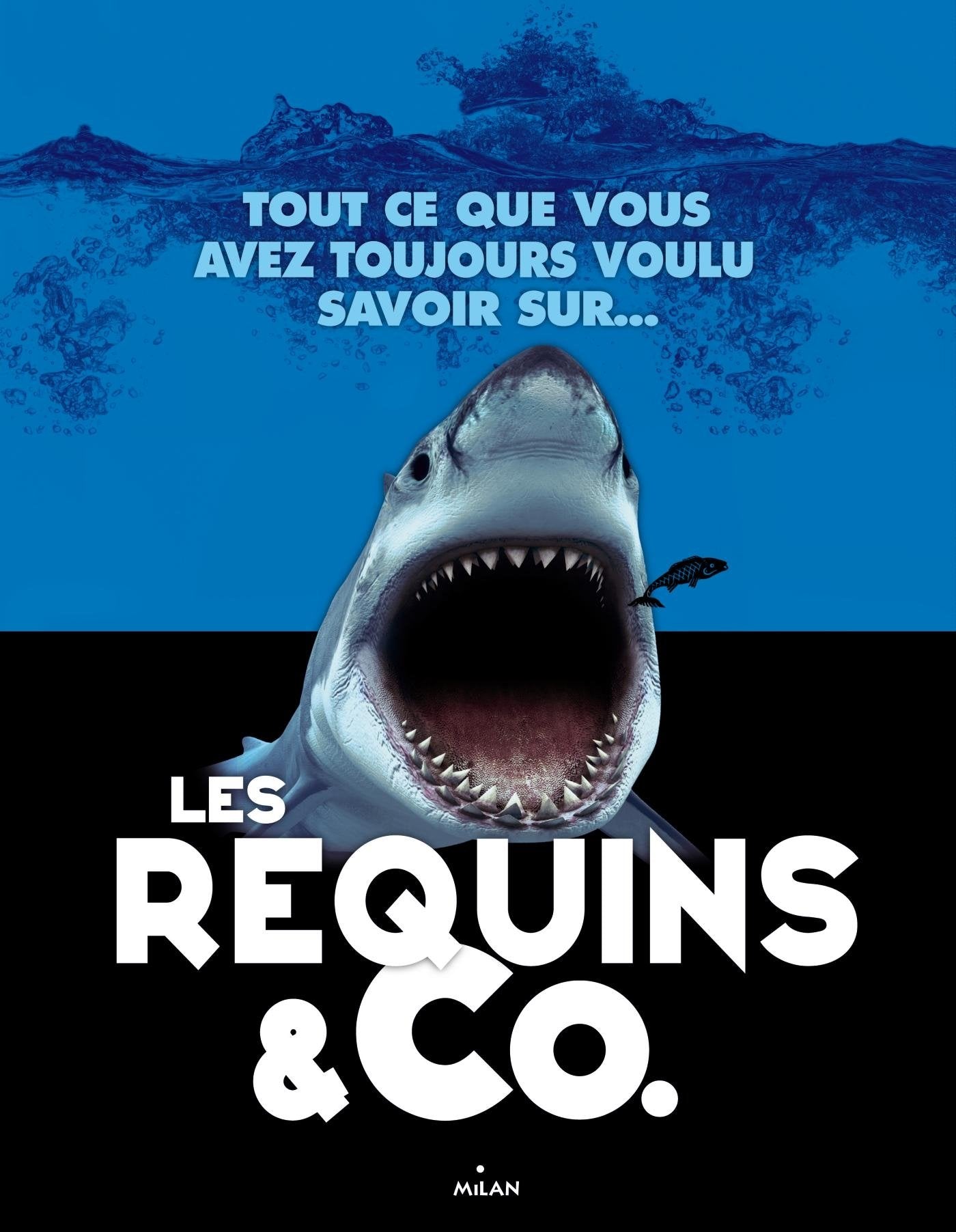 Les requins & co 9782745962621