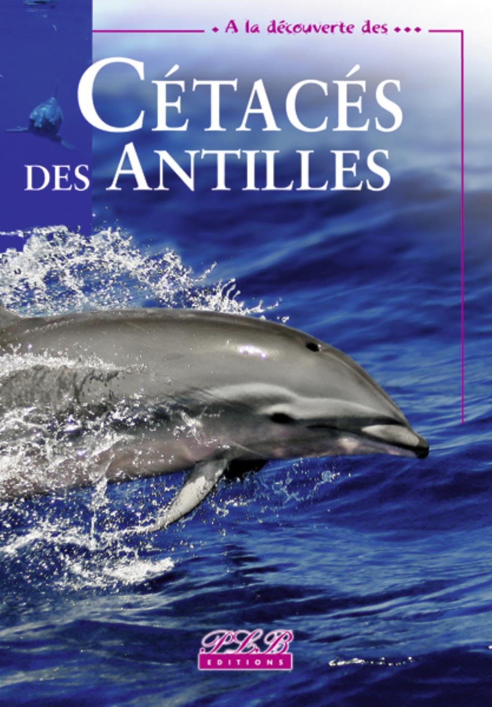A la Découverte Cetaces des Antilles 9782353650040