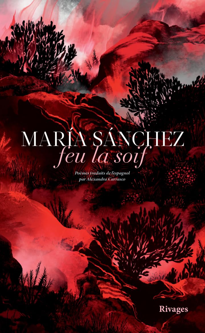 Feu la soif 9782743667146
