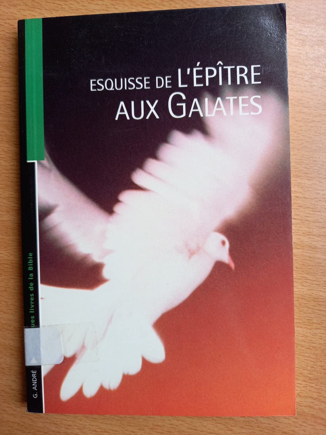 Esquisse de l'Épître aux Galates (Pour les jeunes croyants) 9782879070599