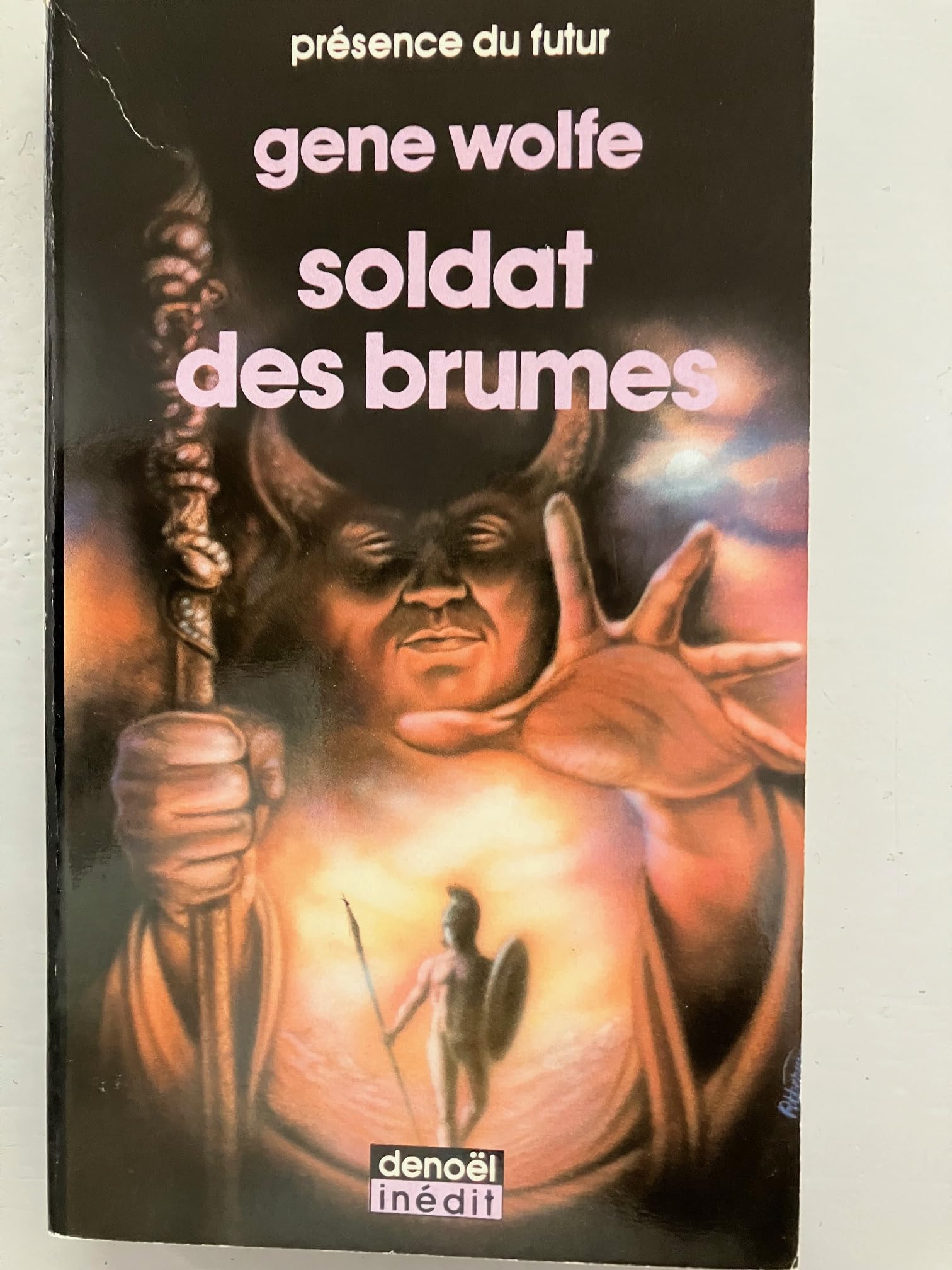 SOLDAT DES BRUMES 9782207304600