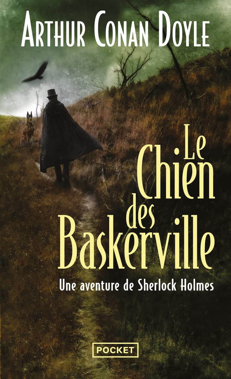 Le chien des Baskerville 9782266152501
