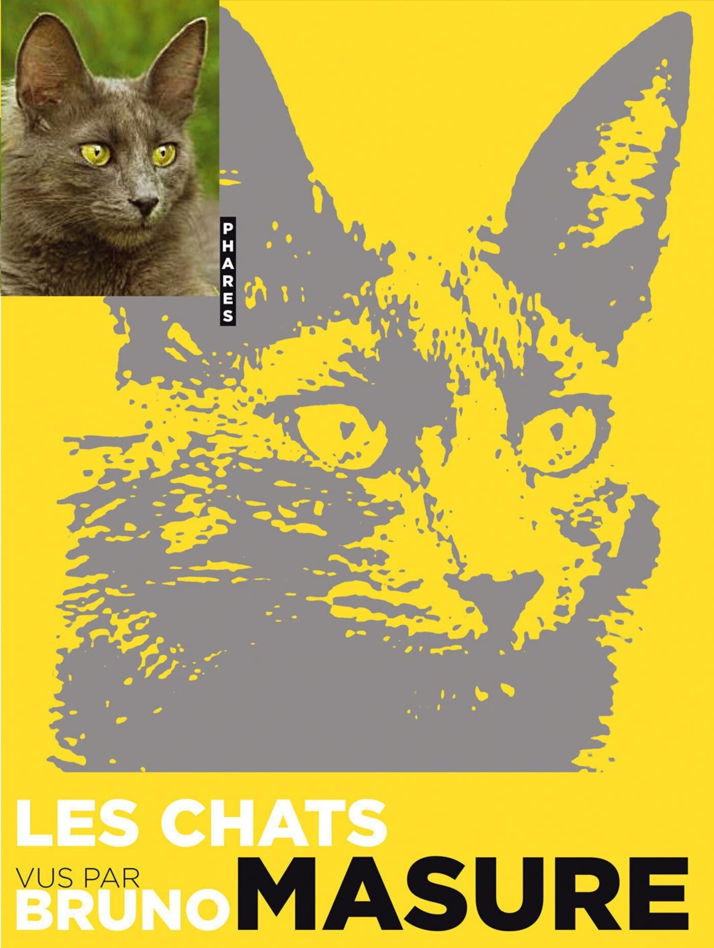 Les chats vu par bruno masure 9782755601800