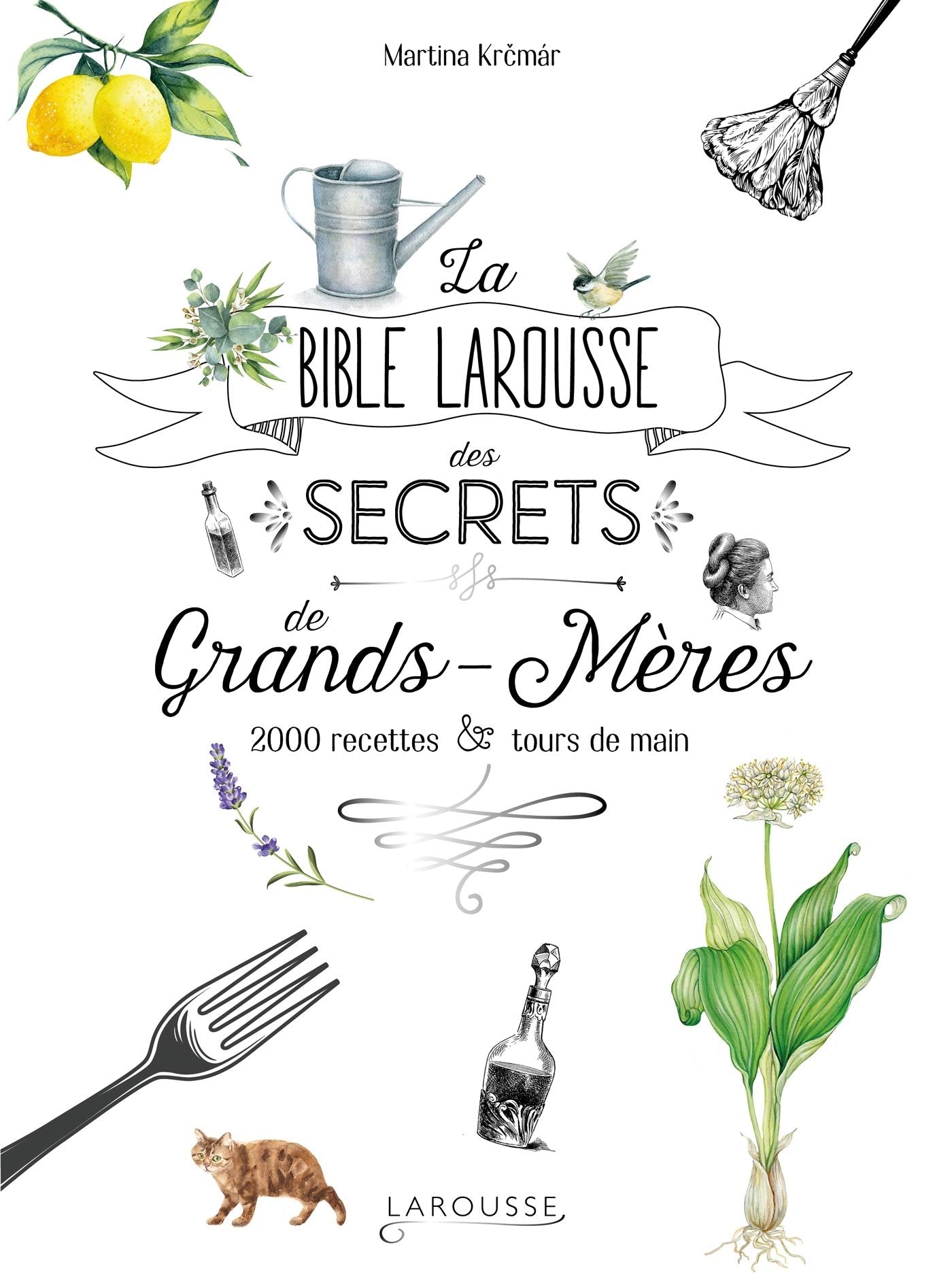 La bible Larousse des secrets de nos grands-mères: 2 000 recettes & tours de main 9782035939845