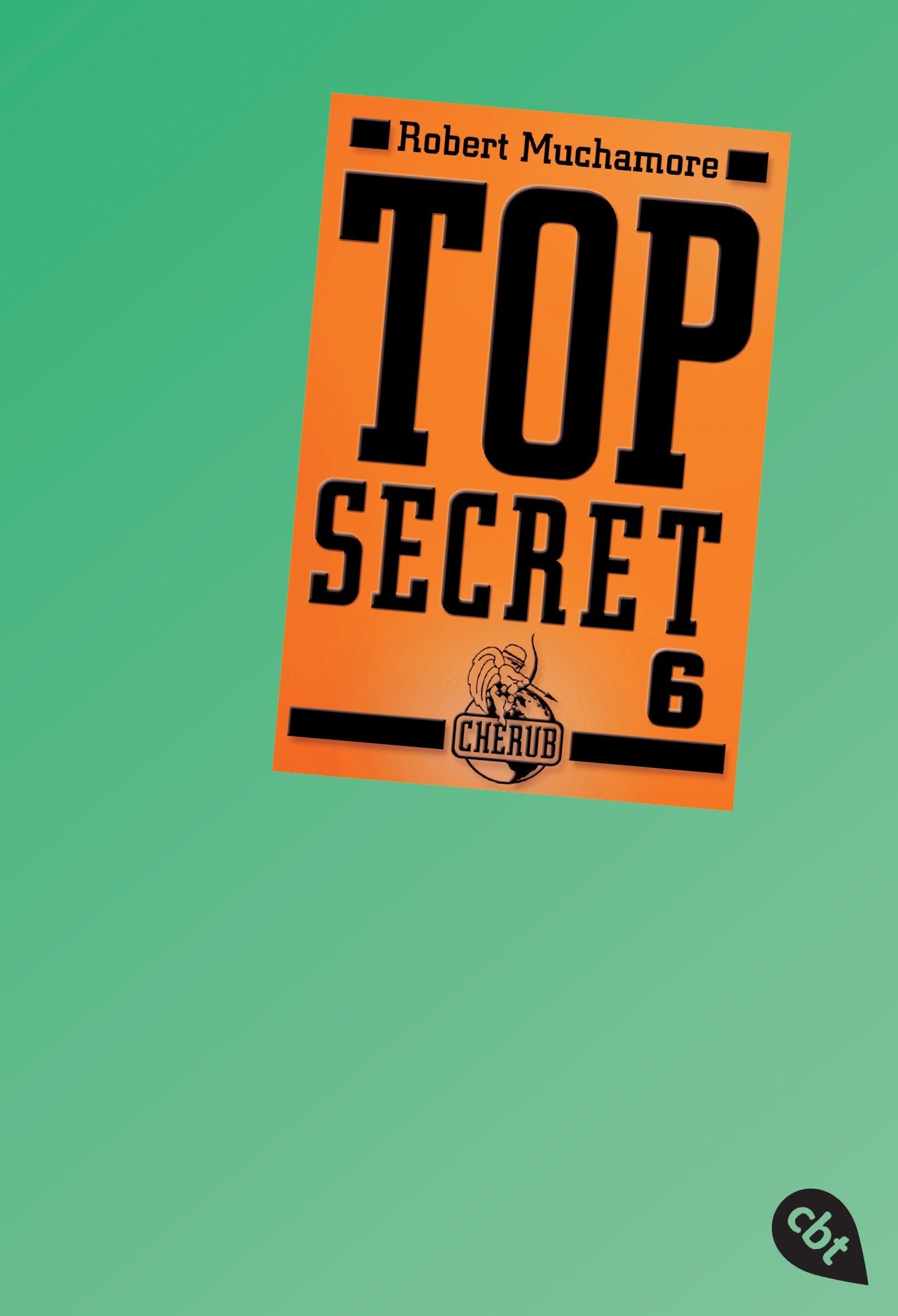 Top Secret 06. Die Mission 9783570304815