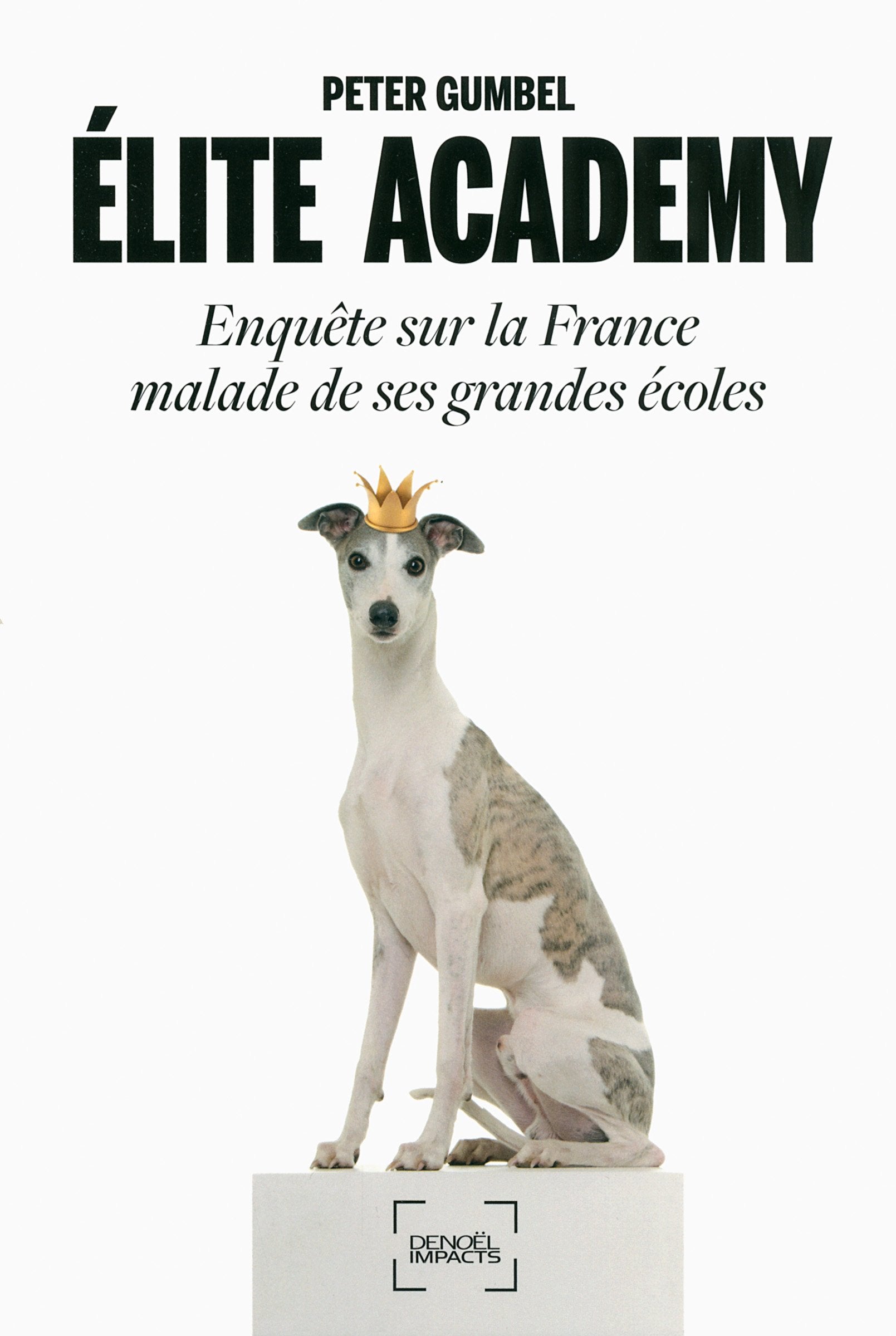 Élite Academy: Enquête sur la France malade de ses grandes écoles 9782207114469