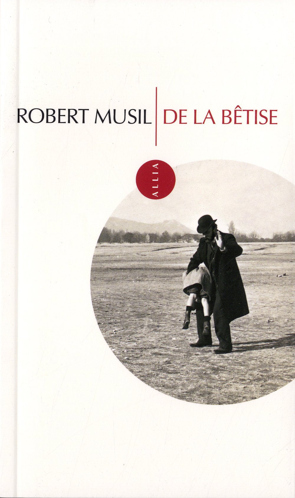 De la bêtise 9782844854056