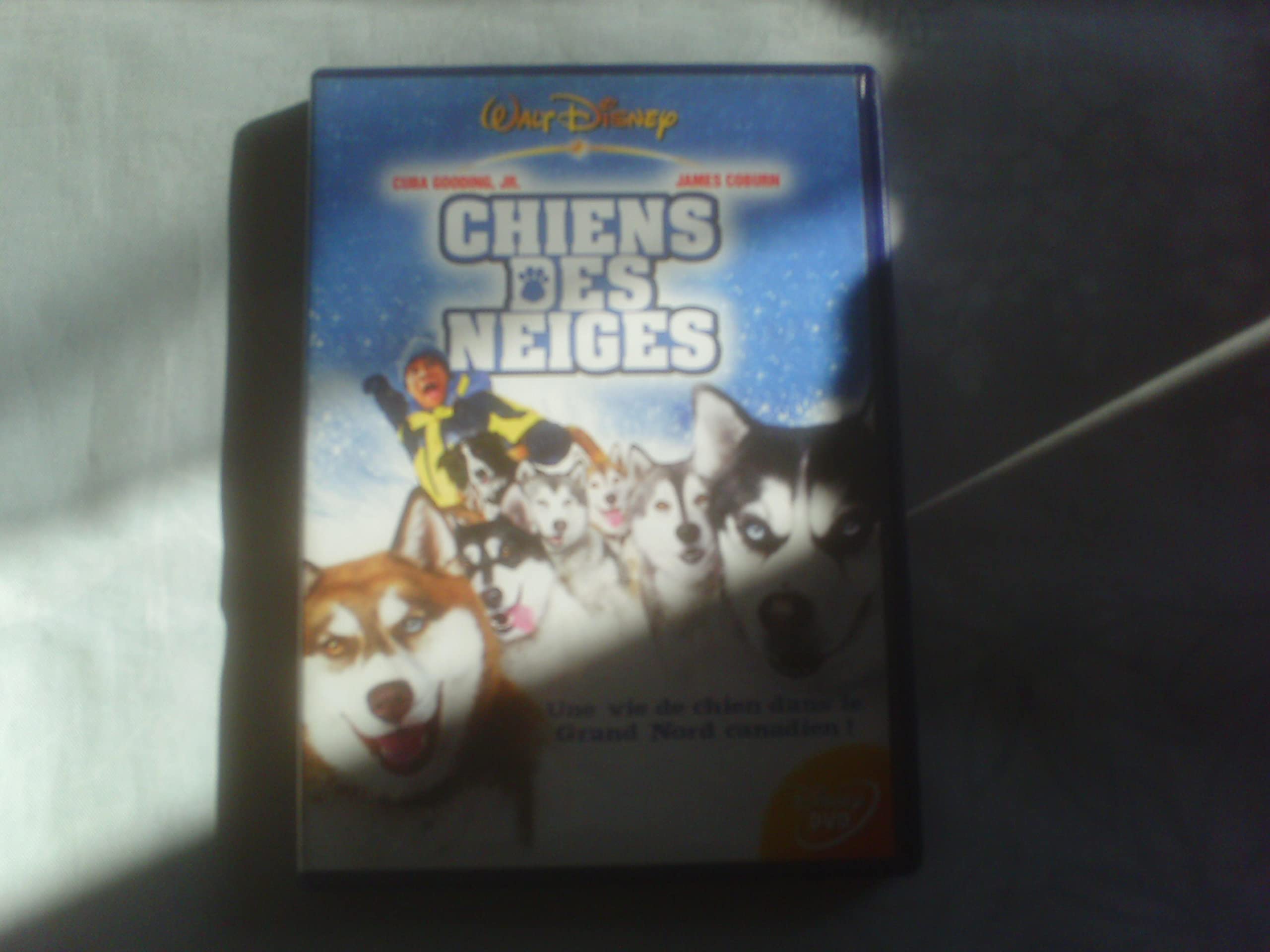 Chiens des neiges 3459379415415