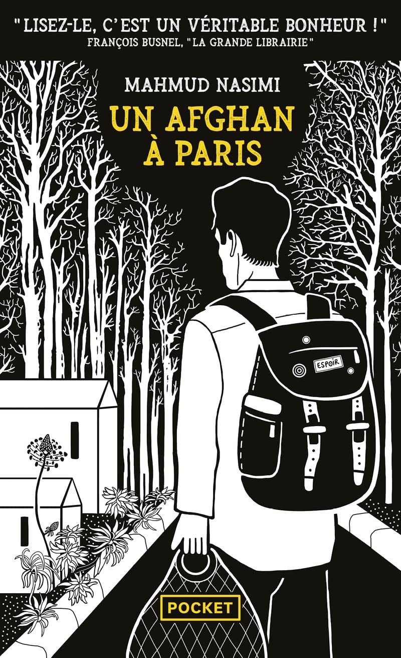 Un Afghan à Paris 9782266328111