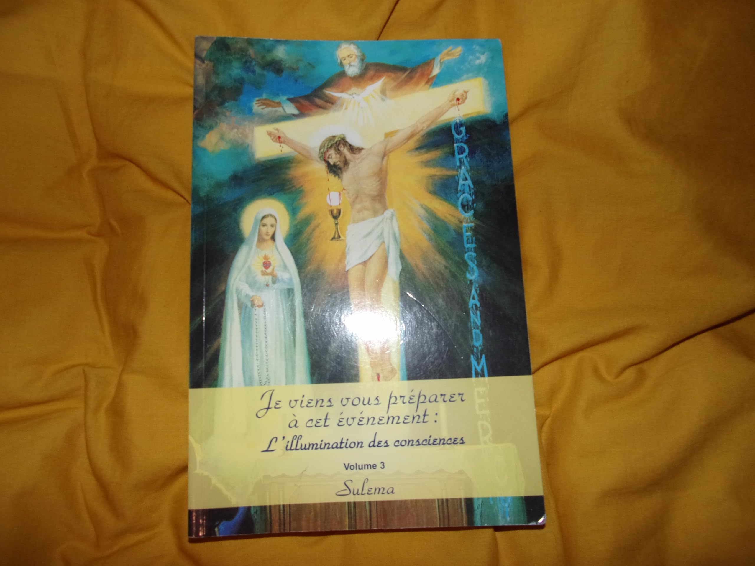 Je viens vous préparer à cet événement : l'illumination des consciences: Volume 3 9782880223793