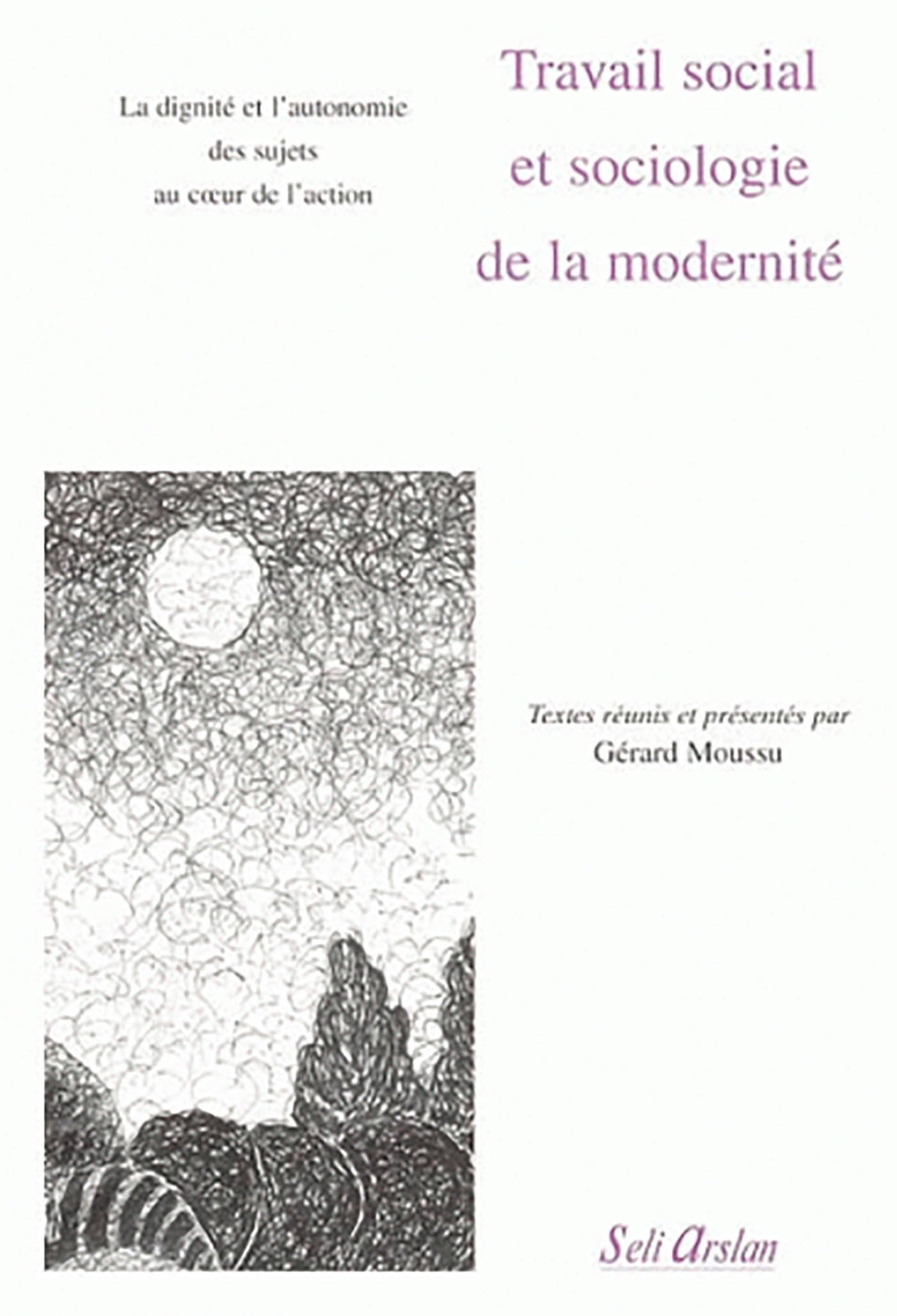 Travail social et sociologie de la modernité 9782842761158