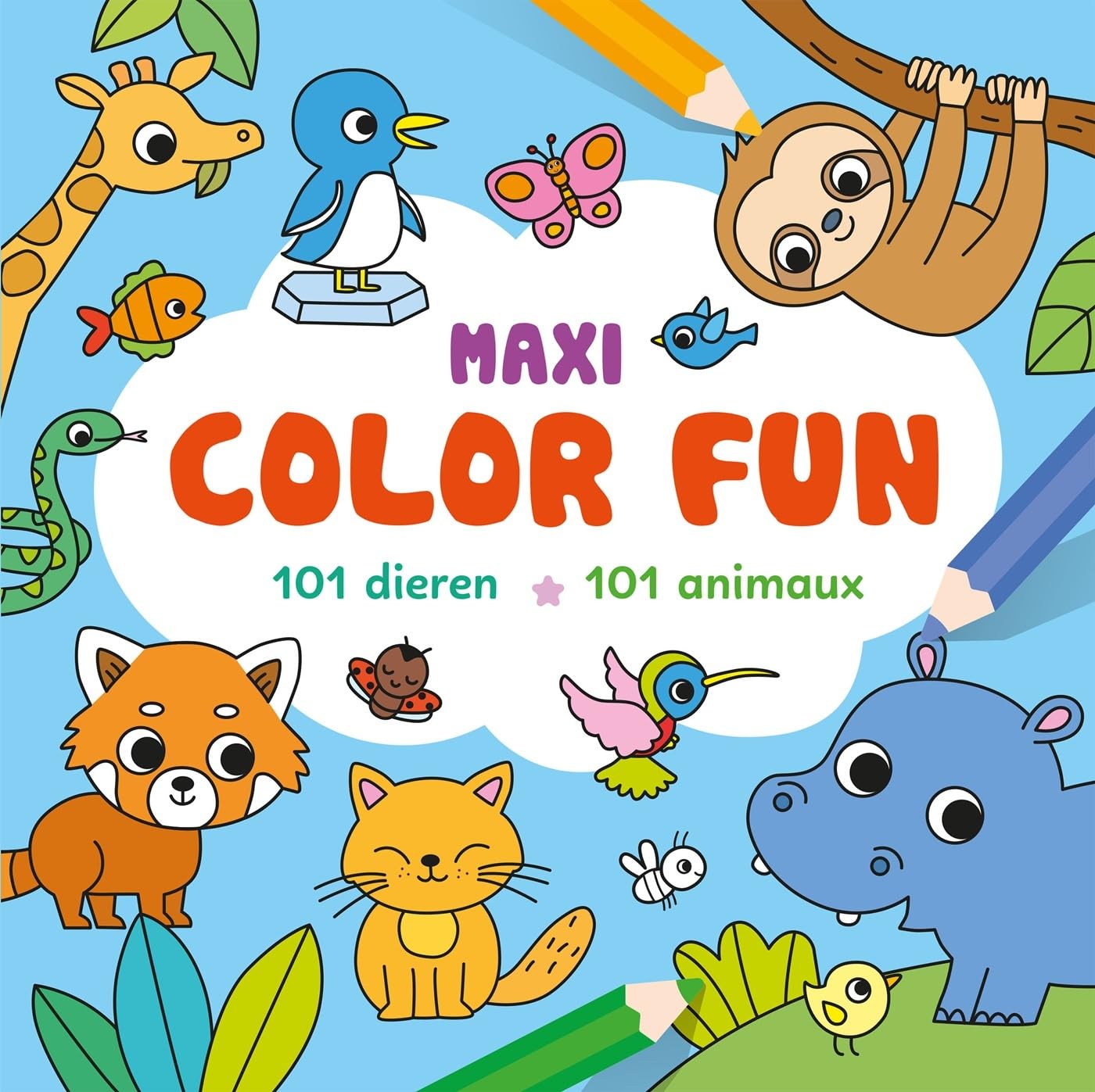 Maxi color fun : 101 animaux 9789044769081