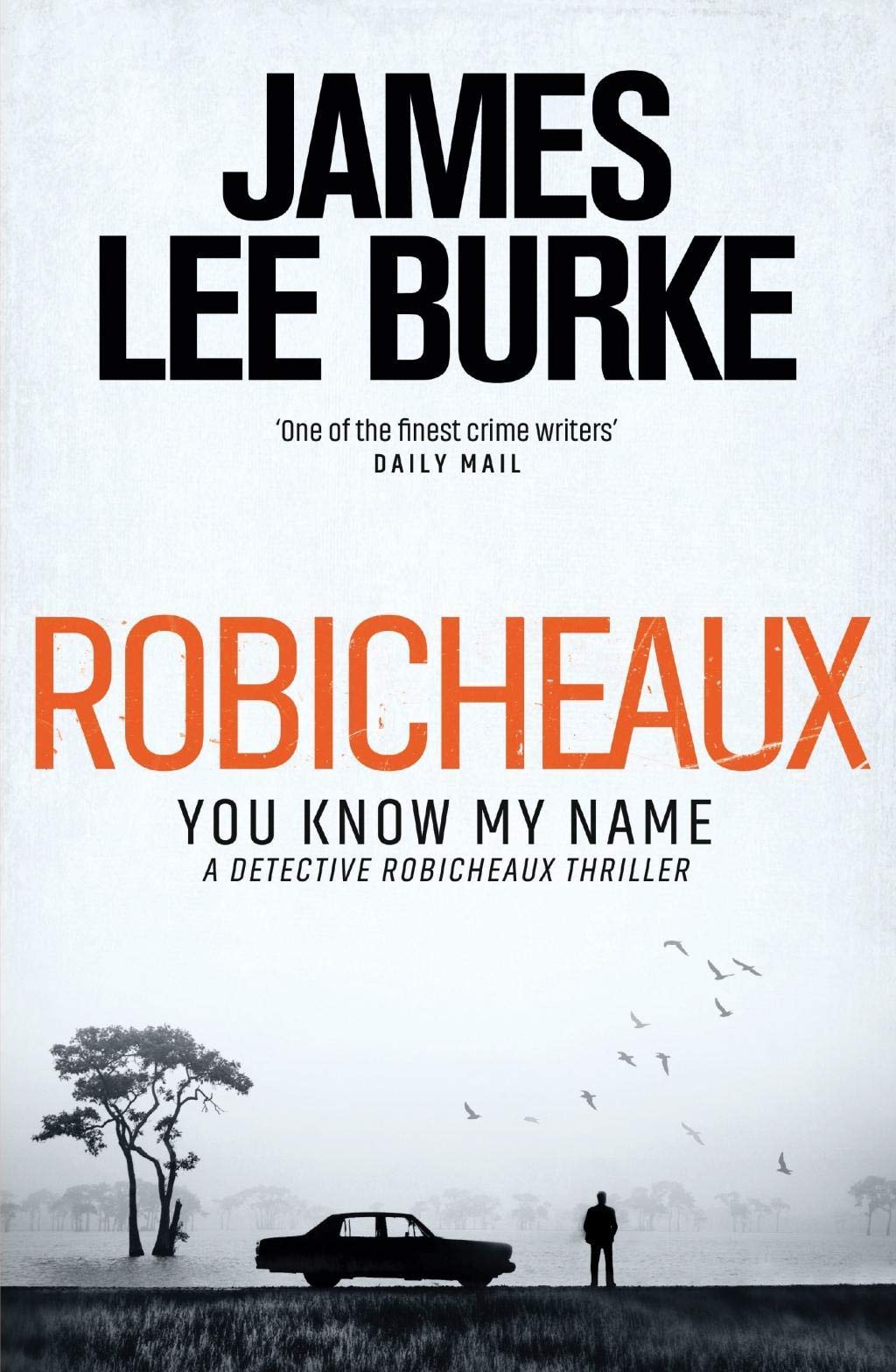 ROBICHEAUX 9781409178699