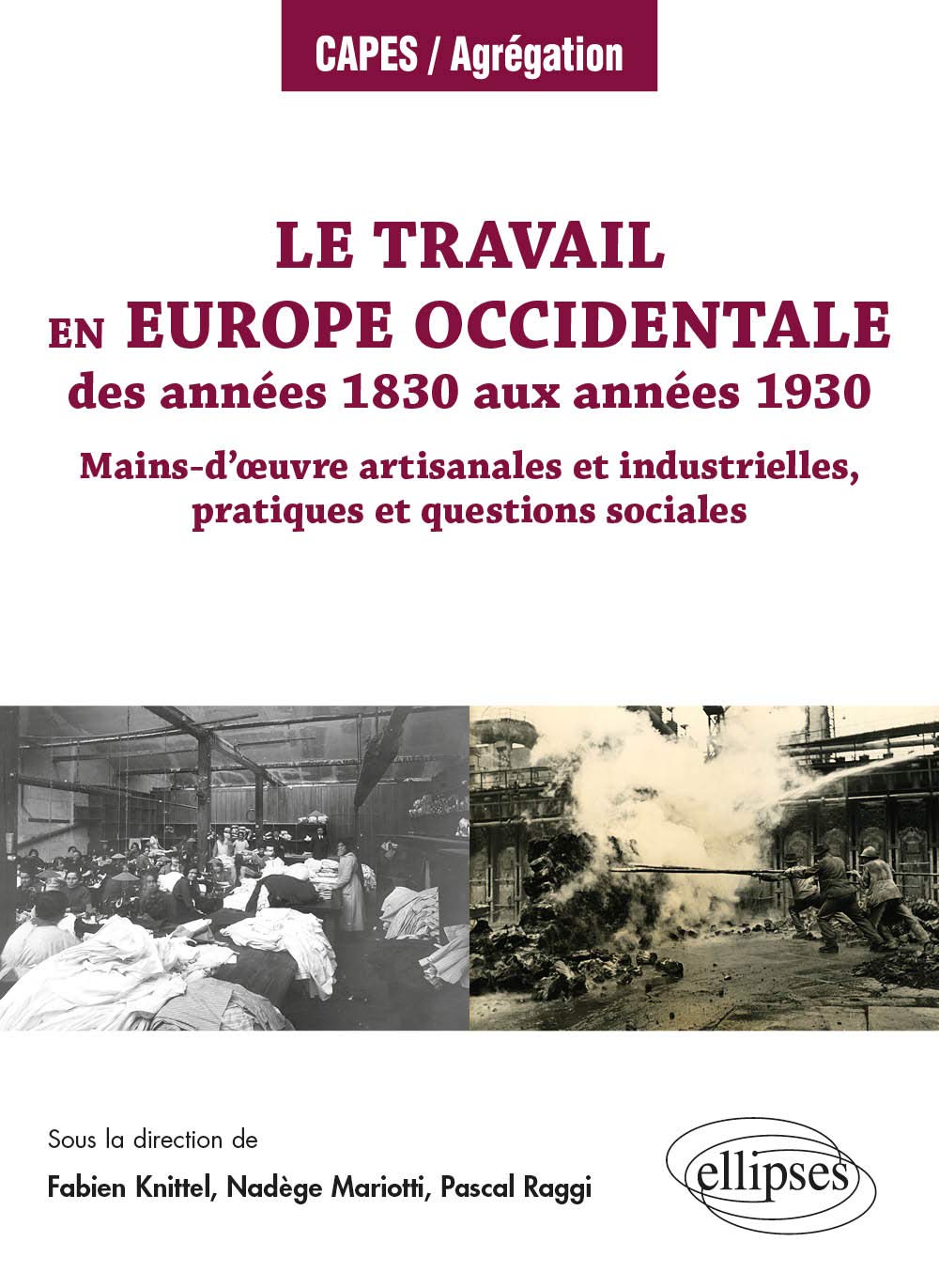 Le travail en Europe occidentale des années 1830 aux années 1930: Mains-d'oeuvre artisanales et industrielles, pratiques et questions sociales 9782340042070