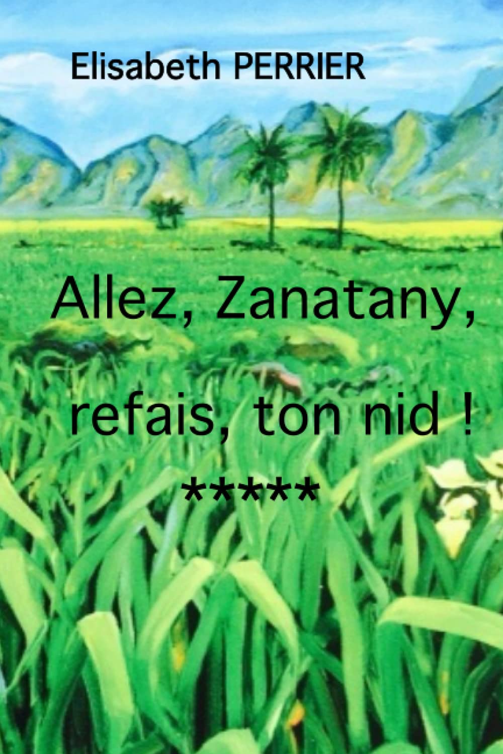 Allez, Zanatany, refais ton nid ! 9798808268654