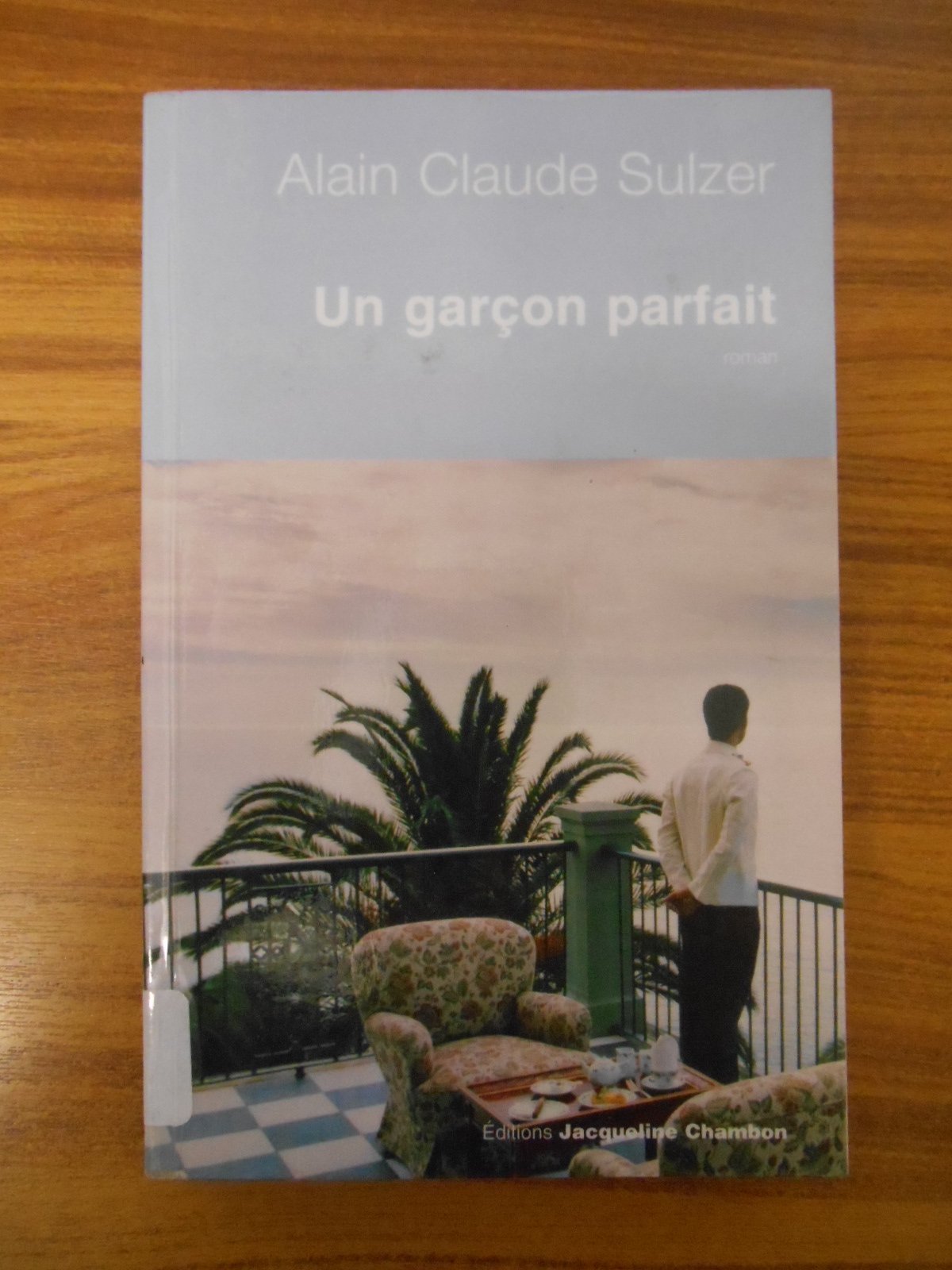 Un garçon parfait 9782742774005