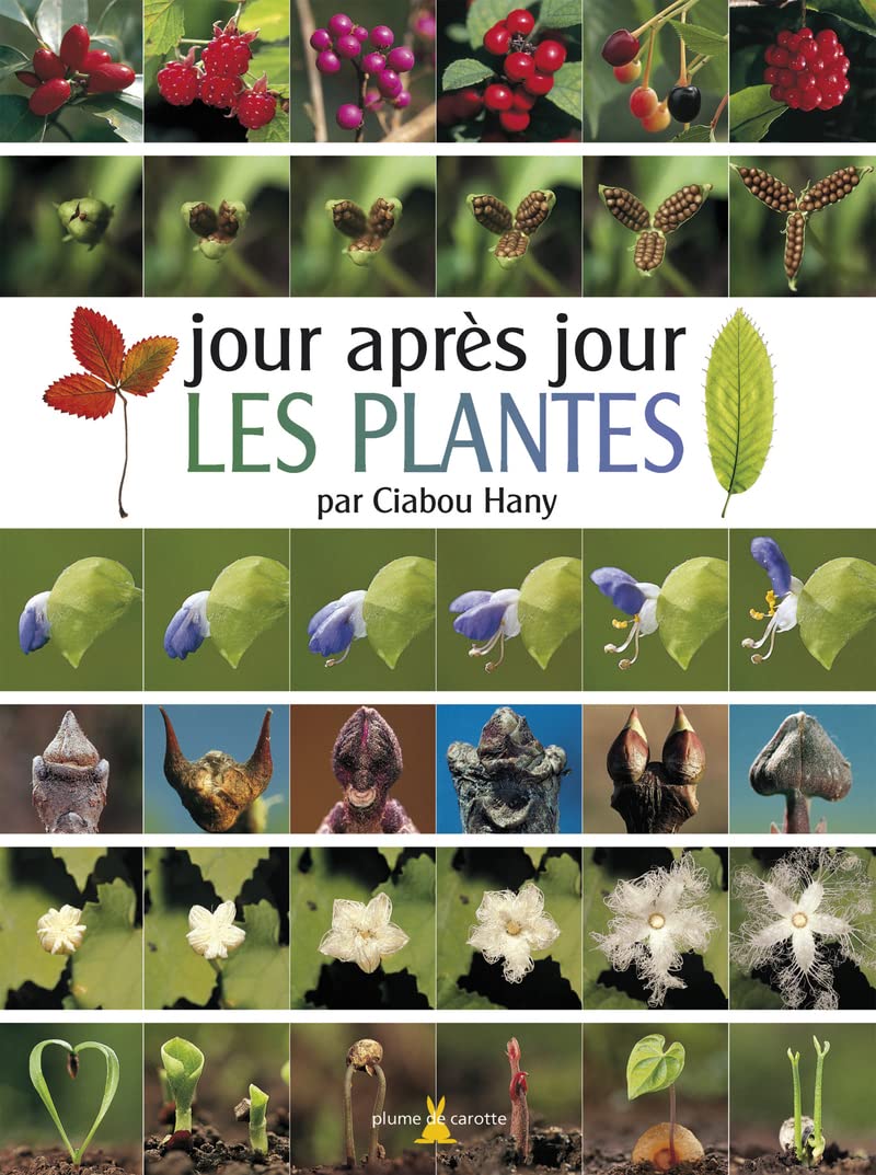 Jour après jour Les plantes 9782915810356