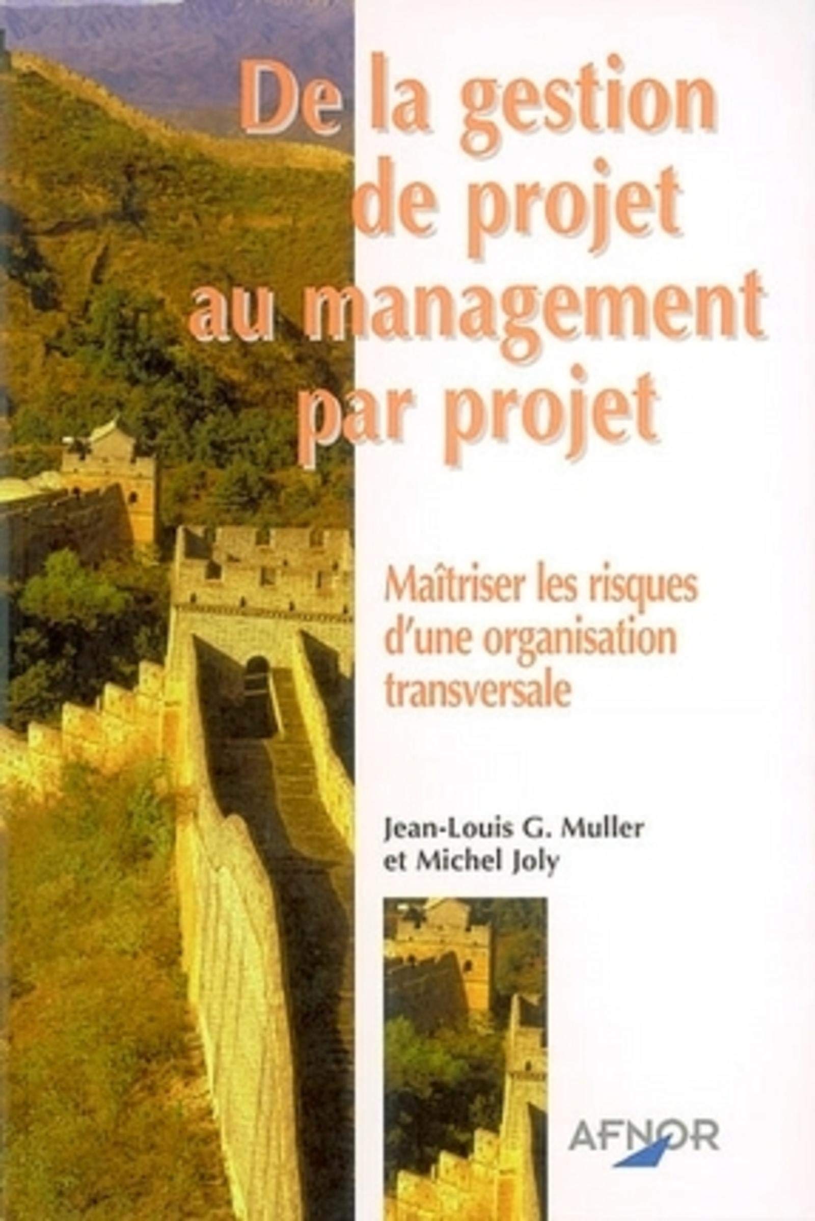 De la gestion de projet au management par projet : Maîtriser les risques d'une organisation transversale 9782124750528