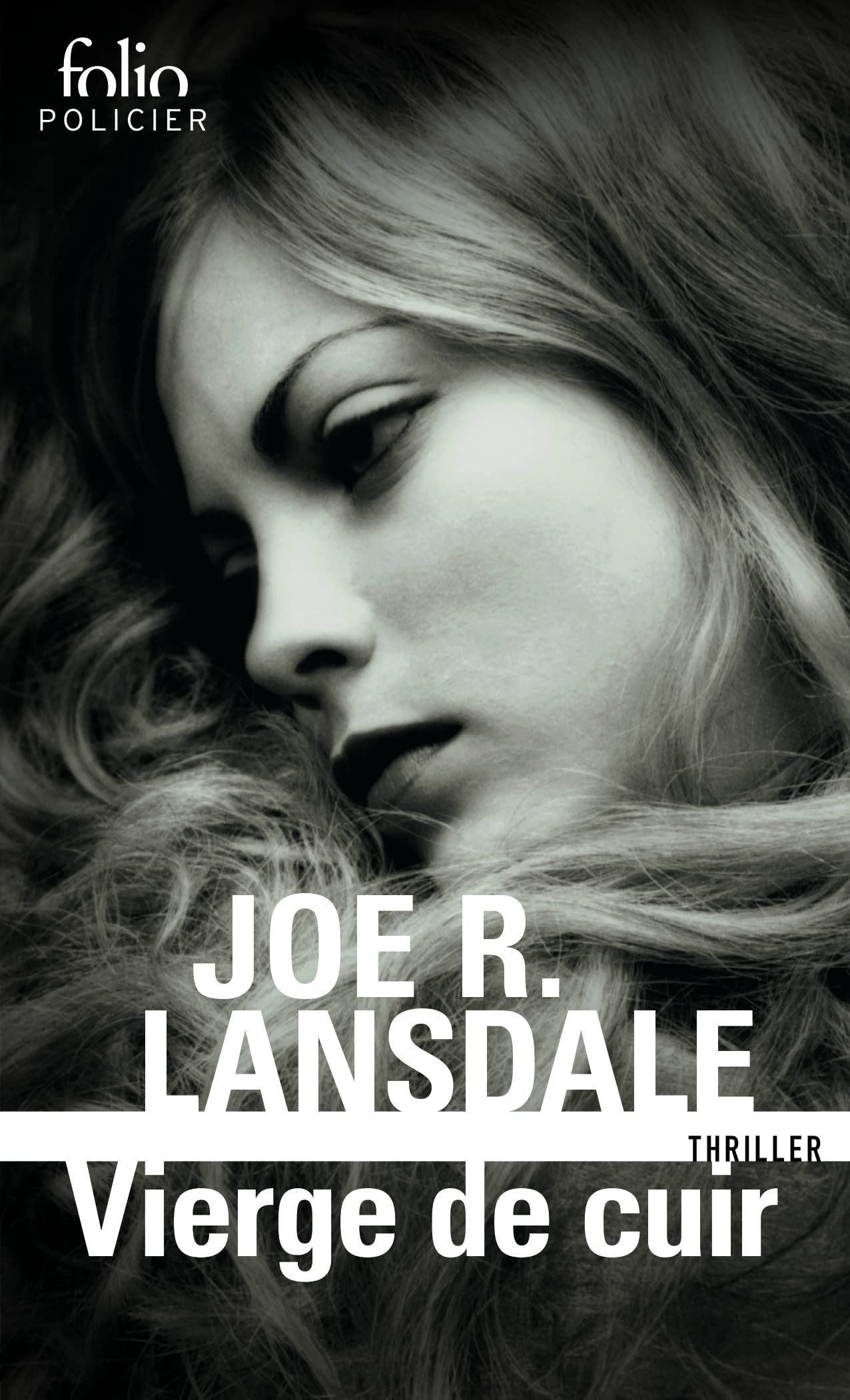 Vierge de cuir 9782070401741