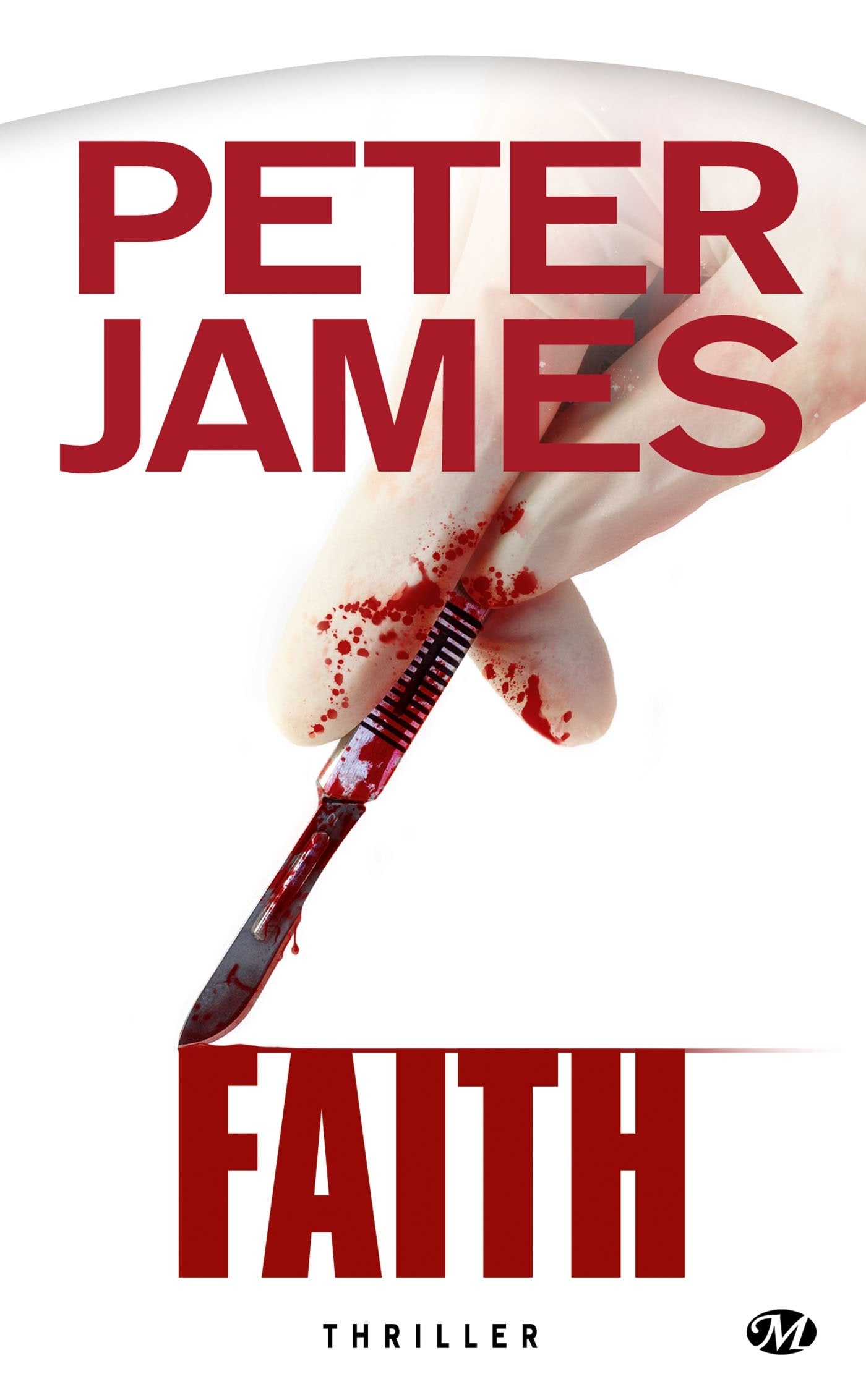Peter James, Tome : Faith 9782811207496