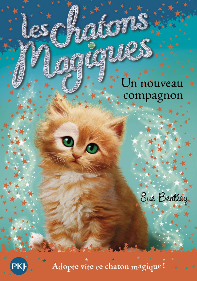 Les chatons magiques - tome 19 : Un nouveau compagnon (19) 9782266256902