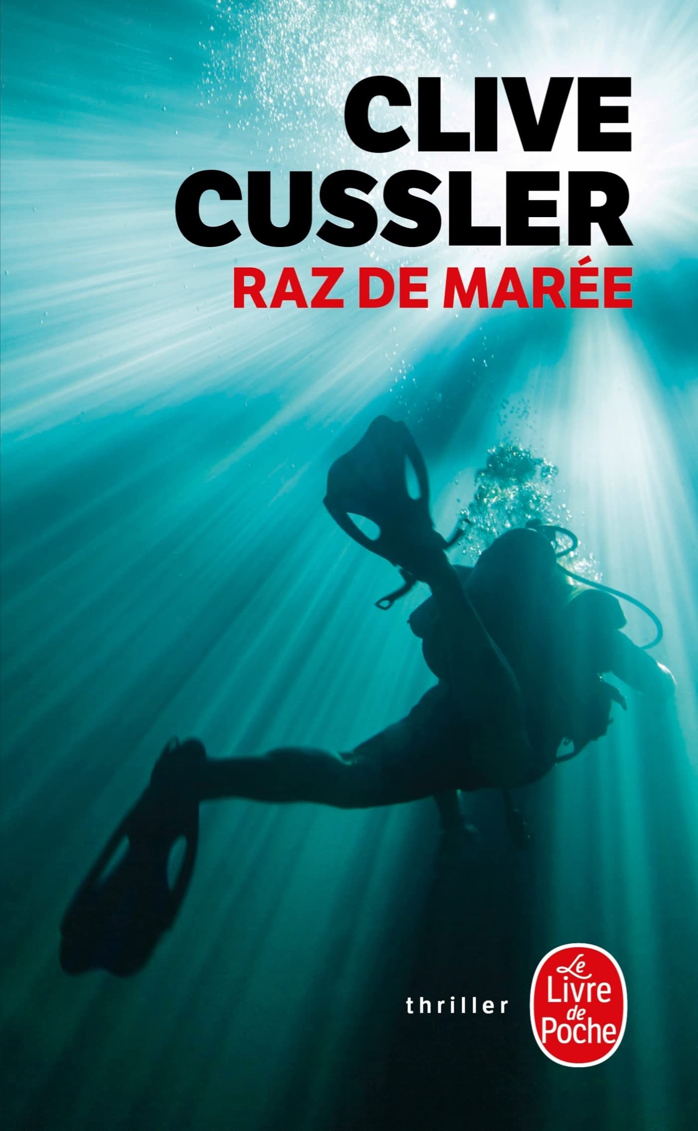 Raz de marée 9782253171799
