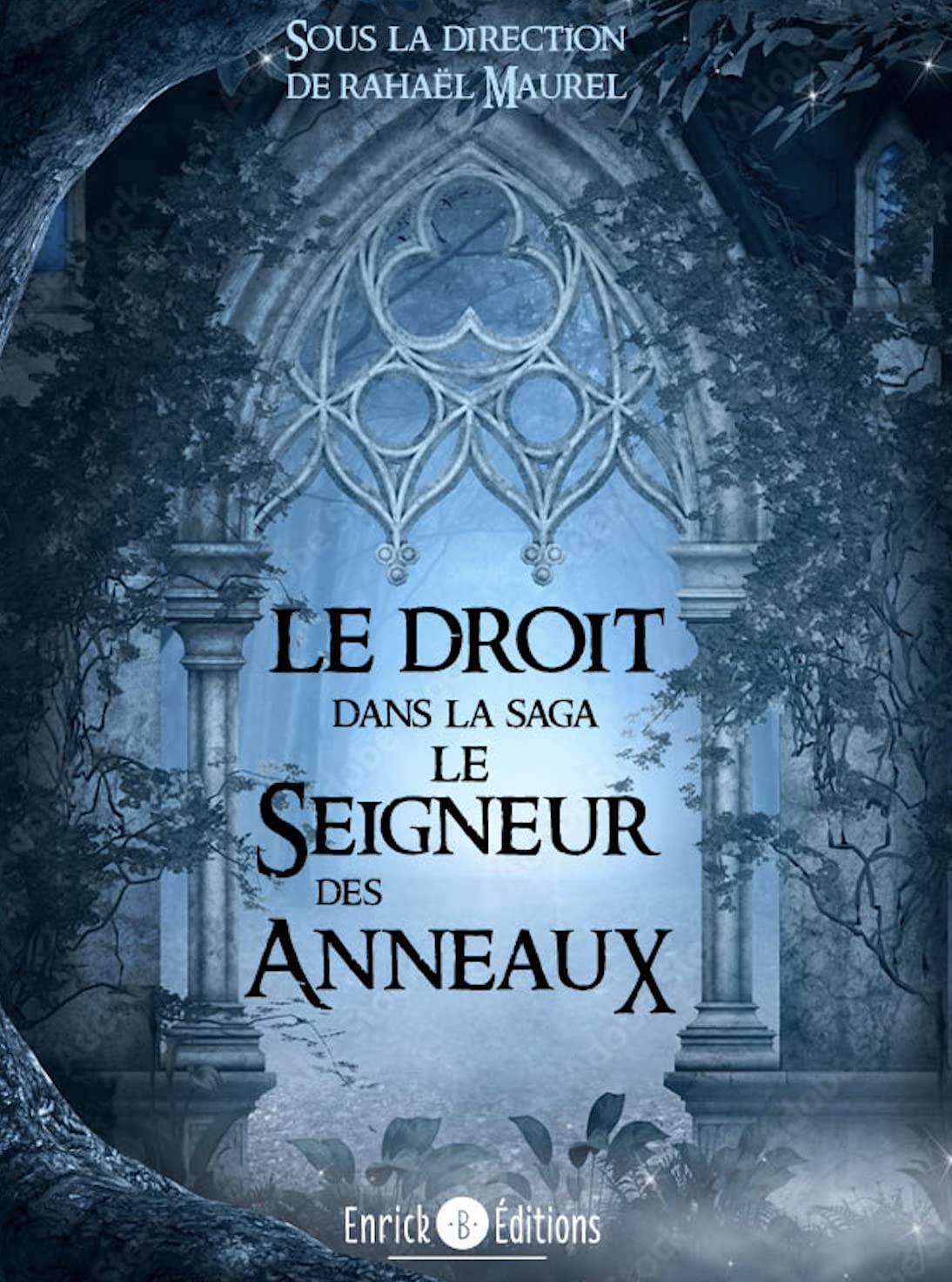 Le droit dans la saga le seigneur des anneaux 9782383132035