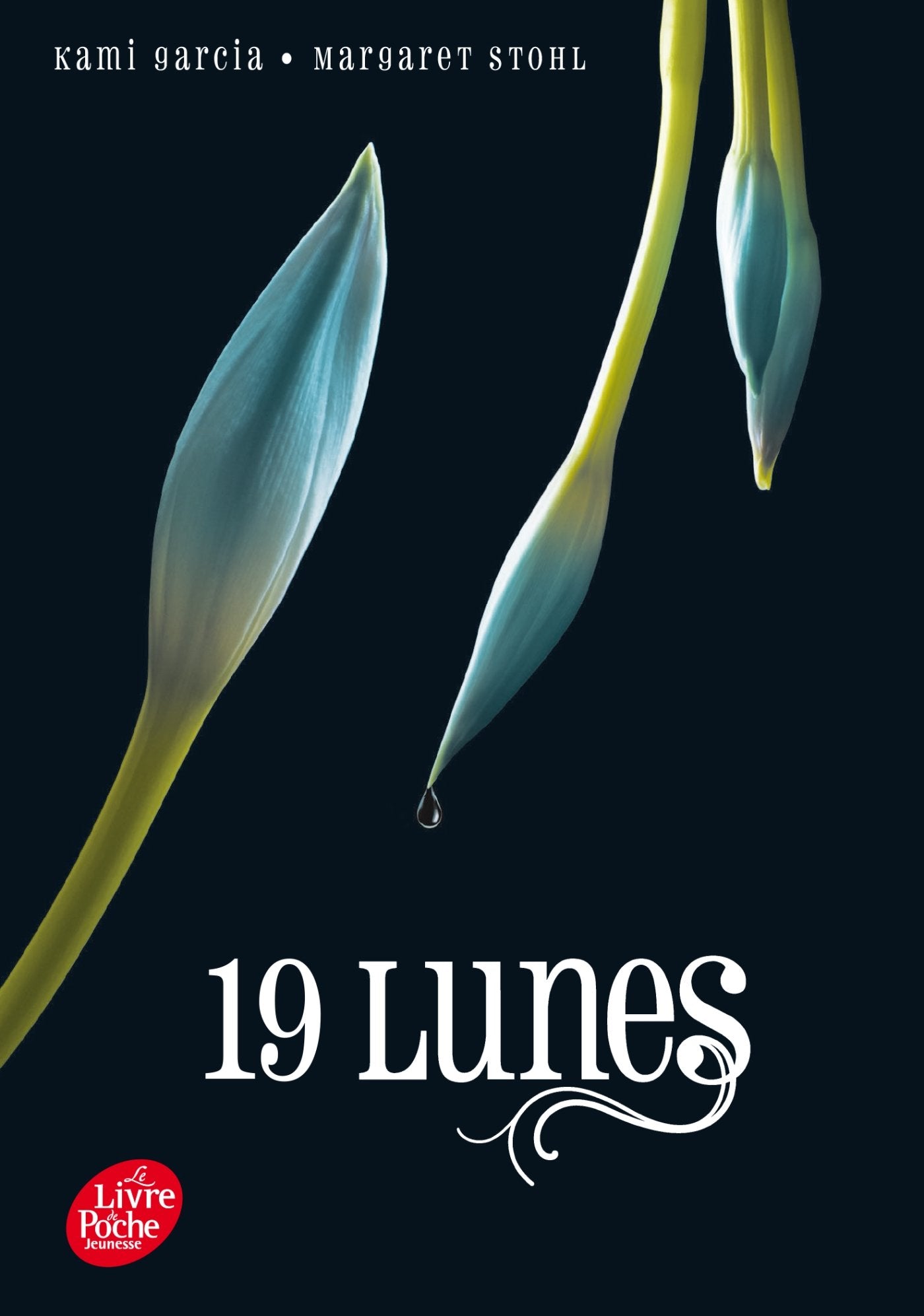 Saga Sublimes Créatures - Tome 4 - 19 Lunes 9782013971355