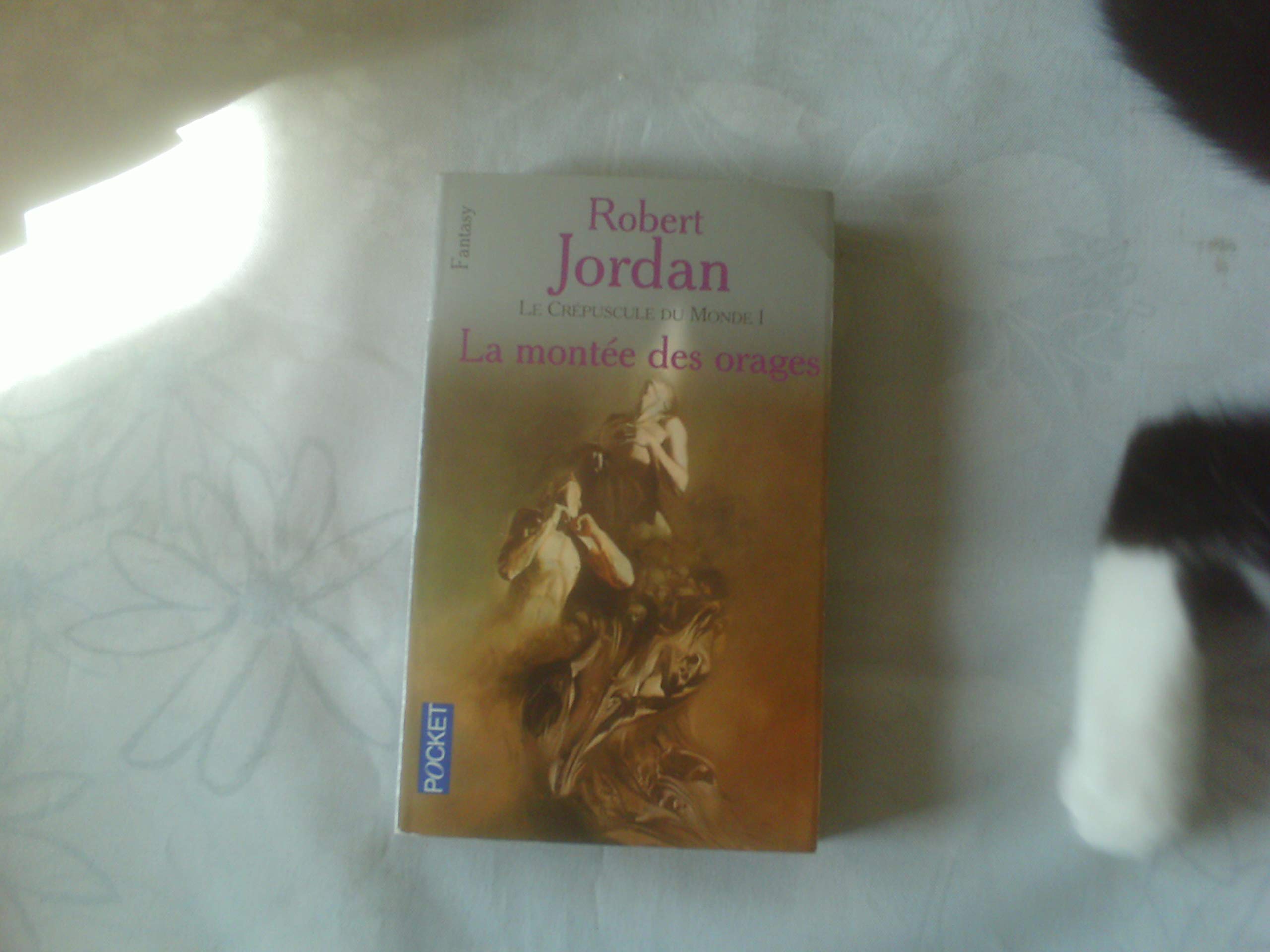 La roue du temps, tome 7 : La montée des orages 9782266107754