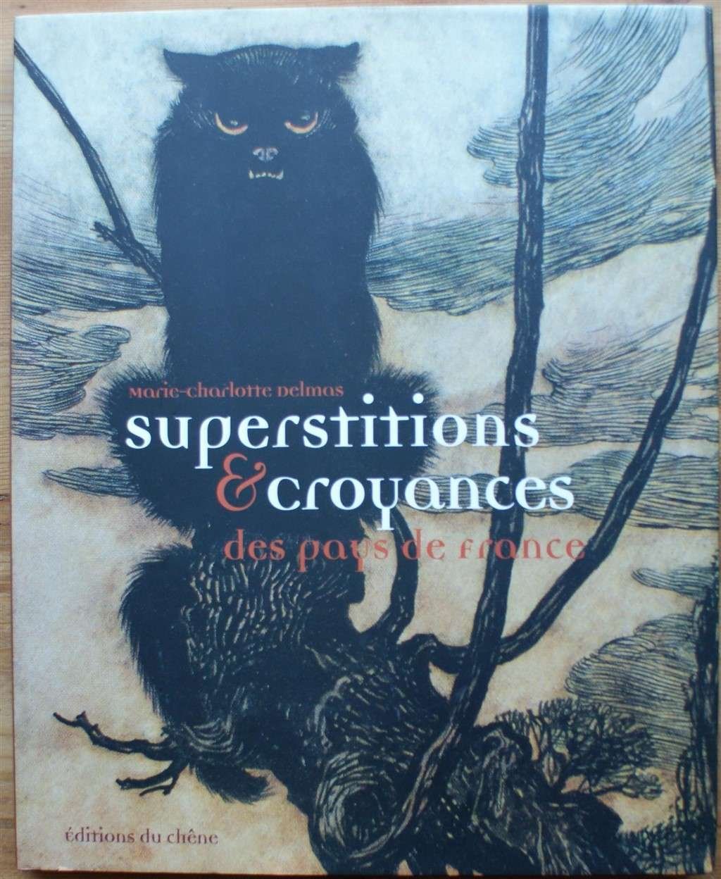 Superstitions Et Croyances Des Pays De France 9782842774578