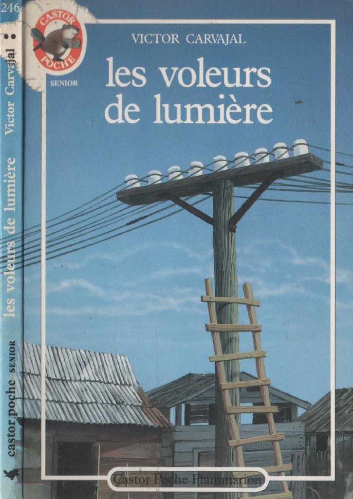 Les voleurs de lumières 9782081619852