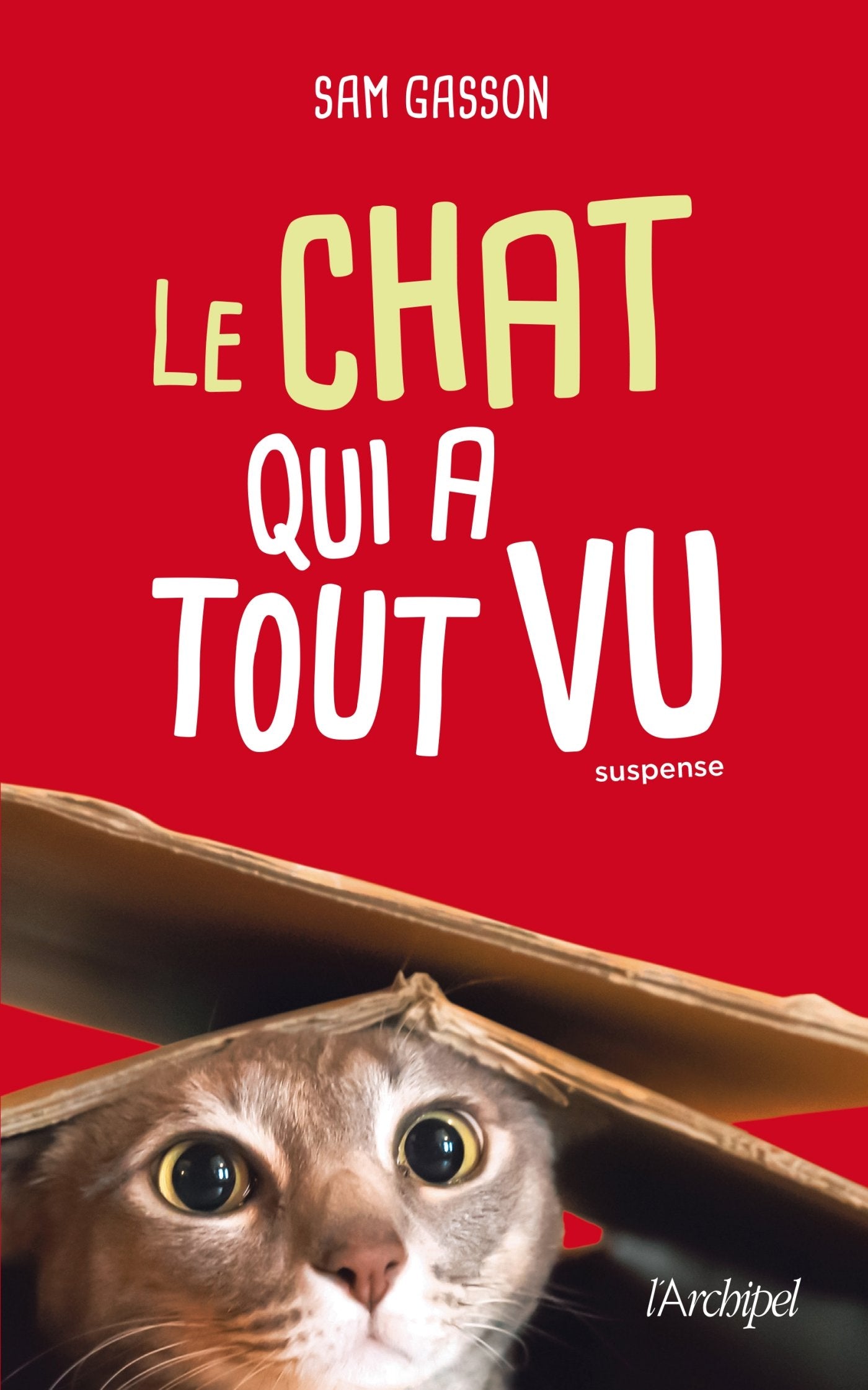 Le chat qui a tout vu 9782809823516